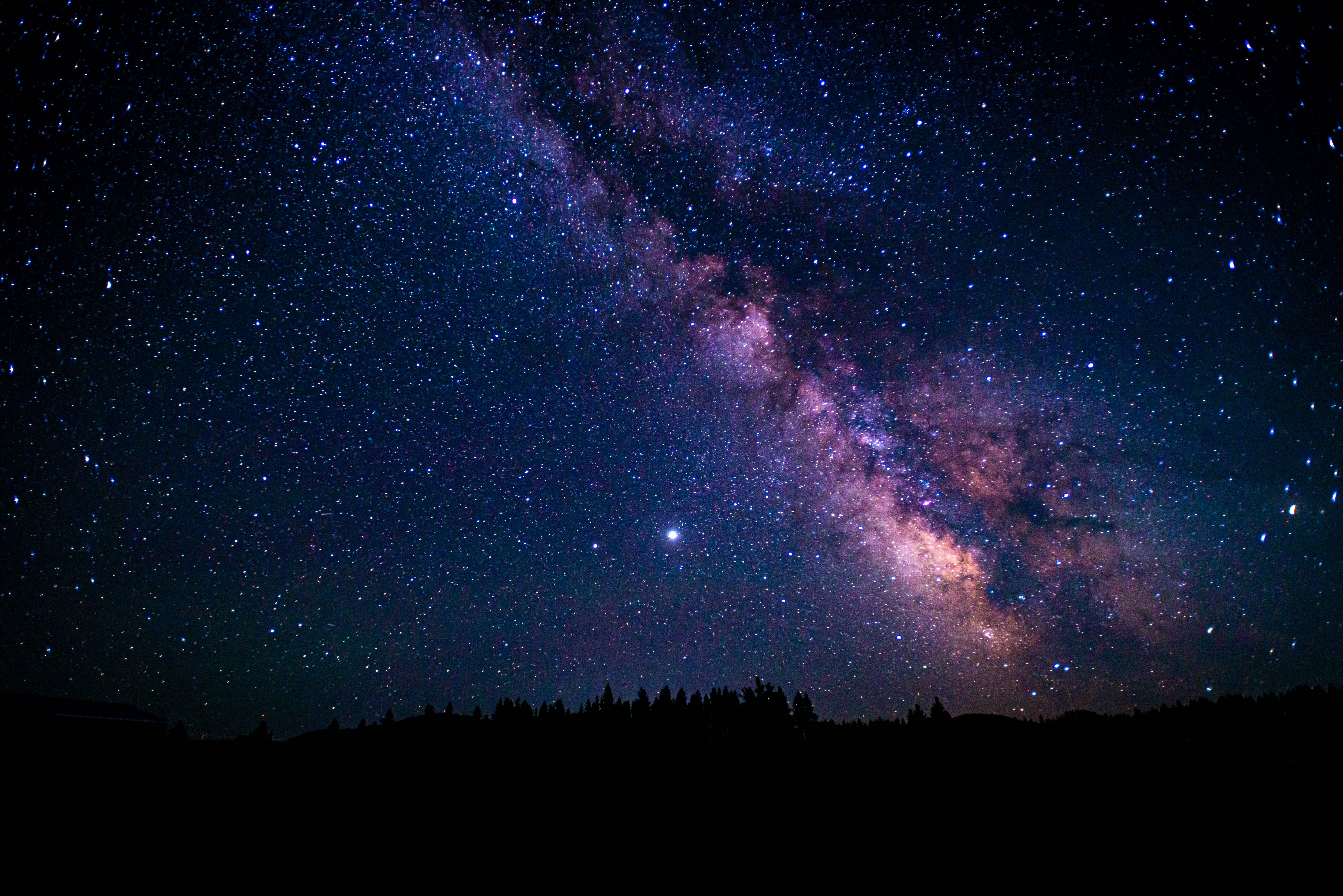 stars, starry sky, night, universe, trees, nebula
