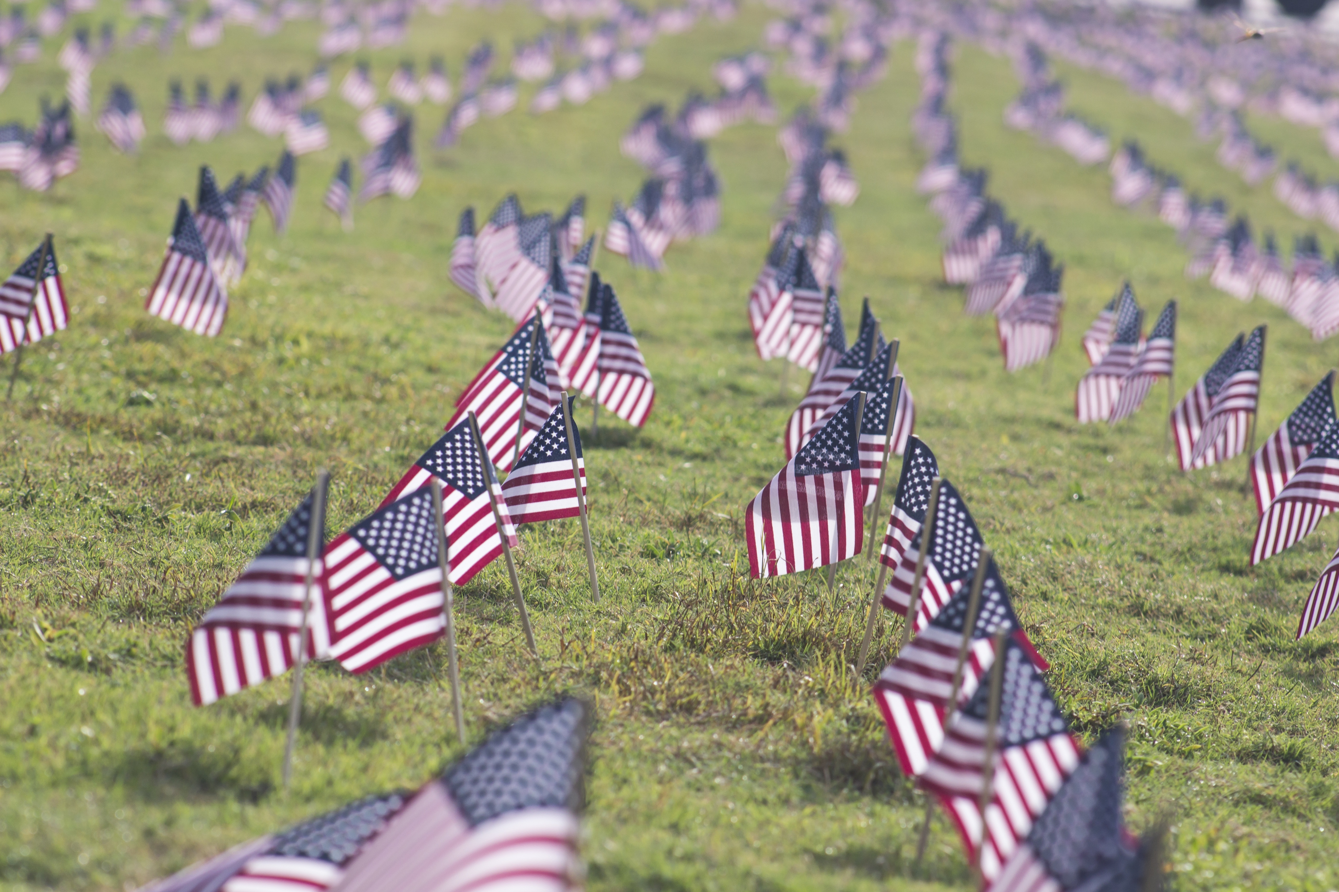 holiday, veterans day, american flag, flag, grass, memorial day