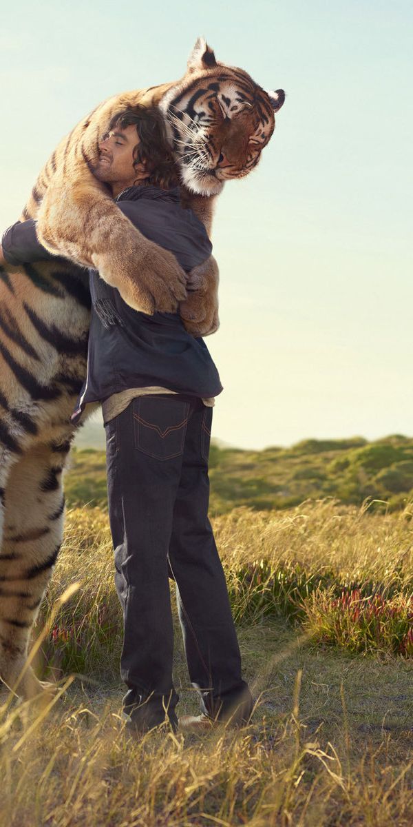 Тигр и собака мужчина. Тигры обнимаются. Люди и животные. Человек и тигр вместе.