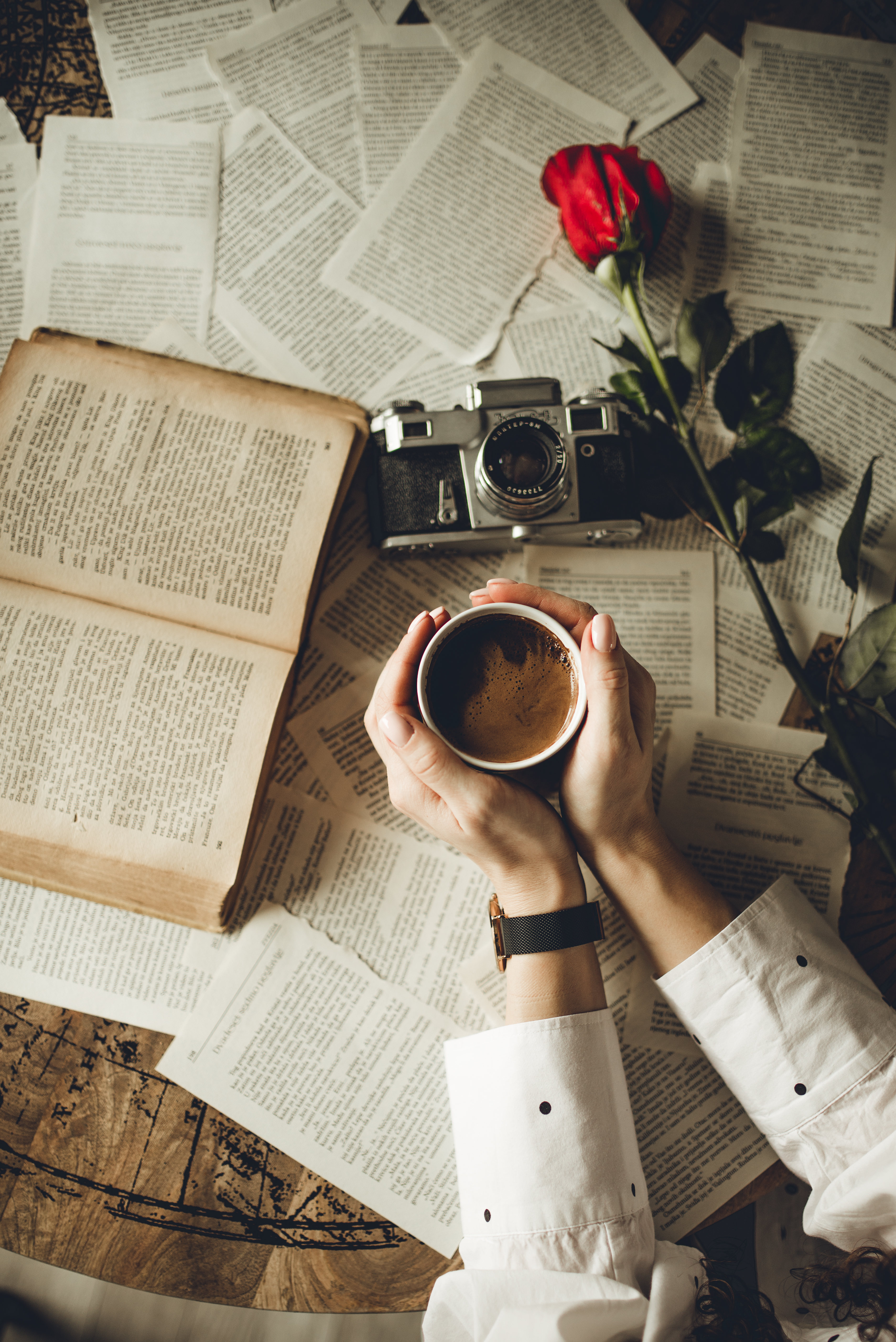 book, cup, flower, miscellanea, miscellaneous, hands, camera, pages, page