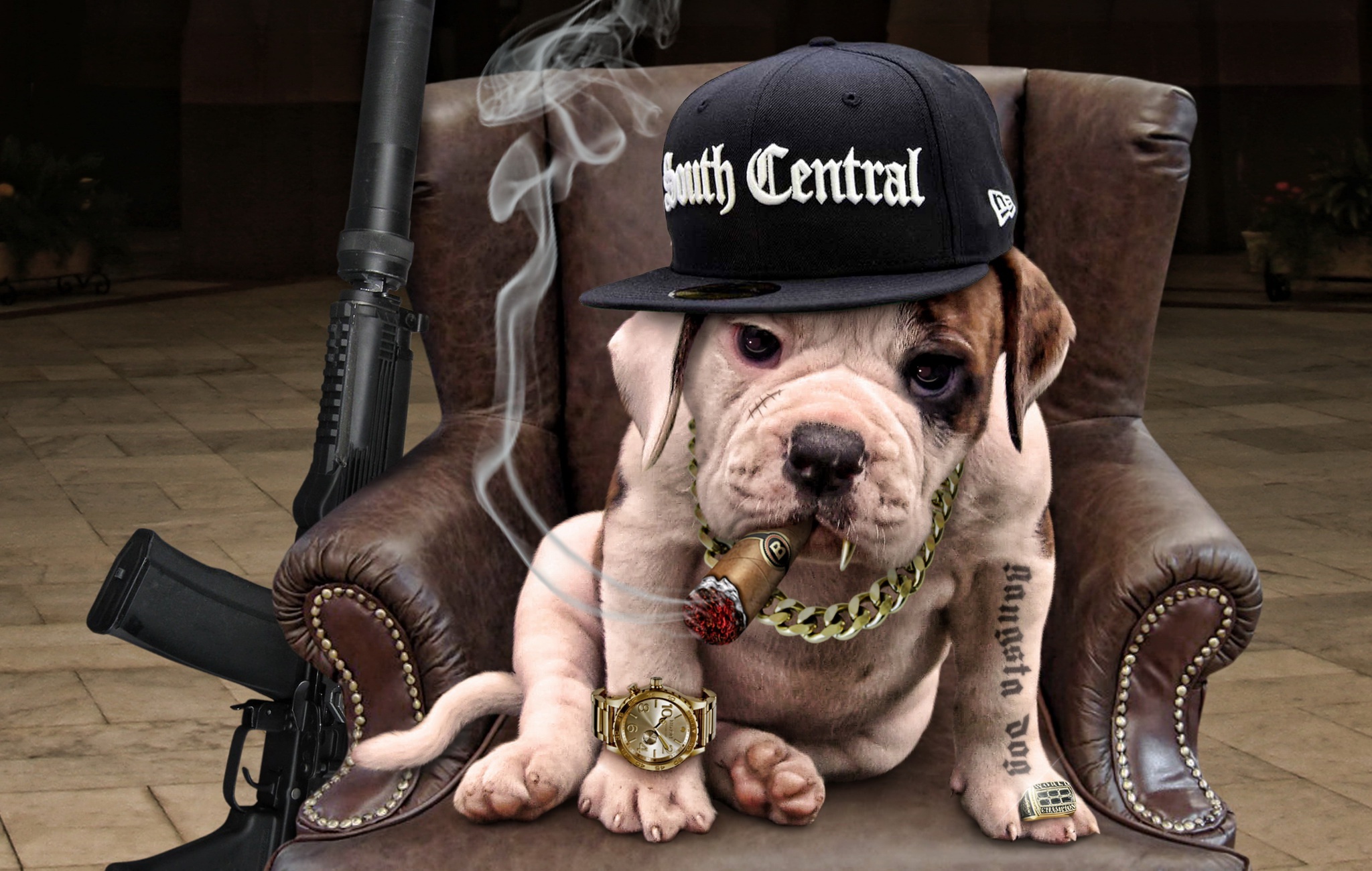 gangster, animal, english bulldog, dog, humor, dogs 1080p