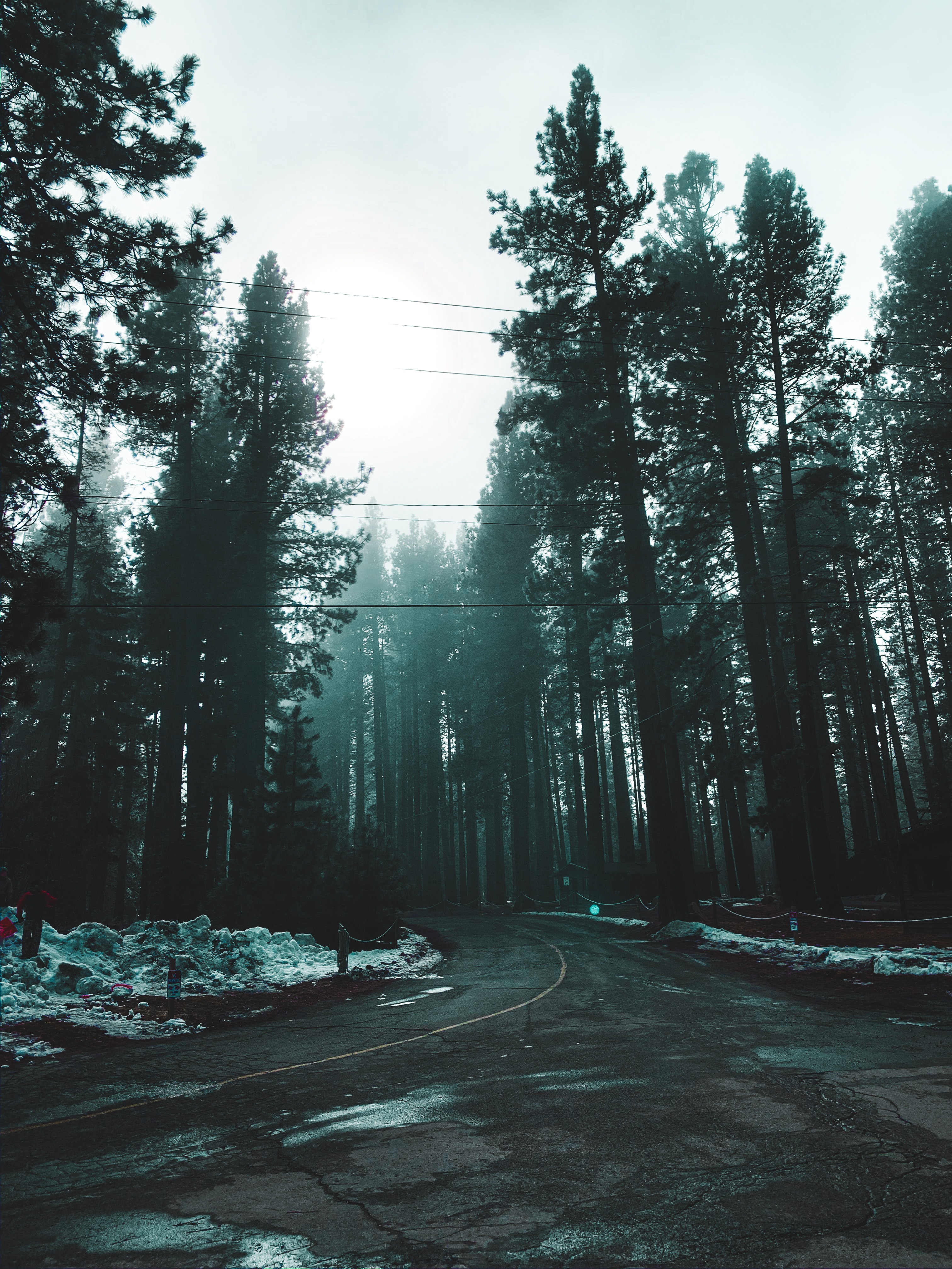 Download mobile wallpaper Road, Nature, Fog, Forest for free.