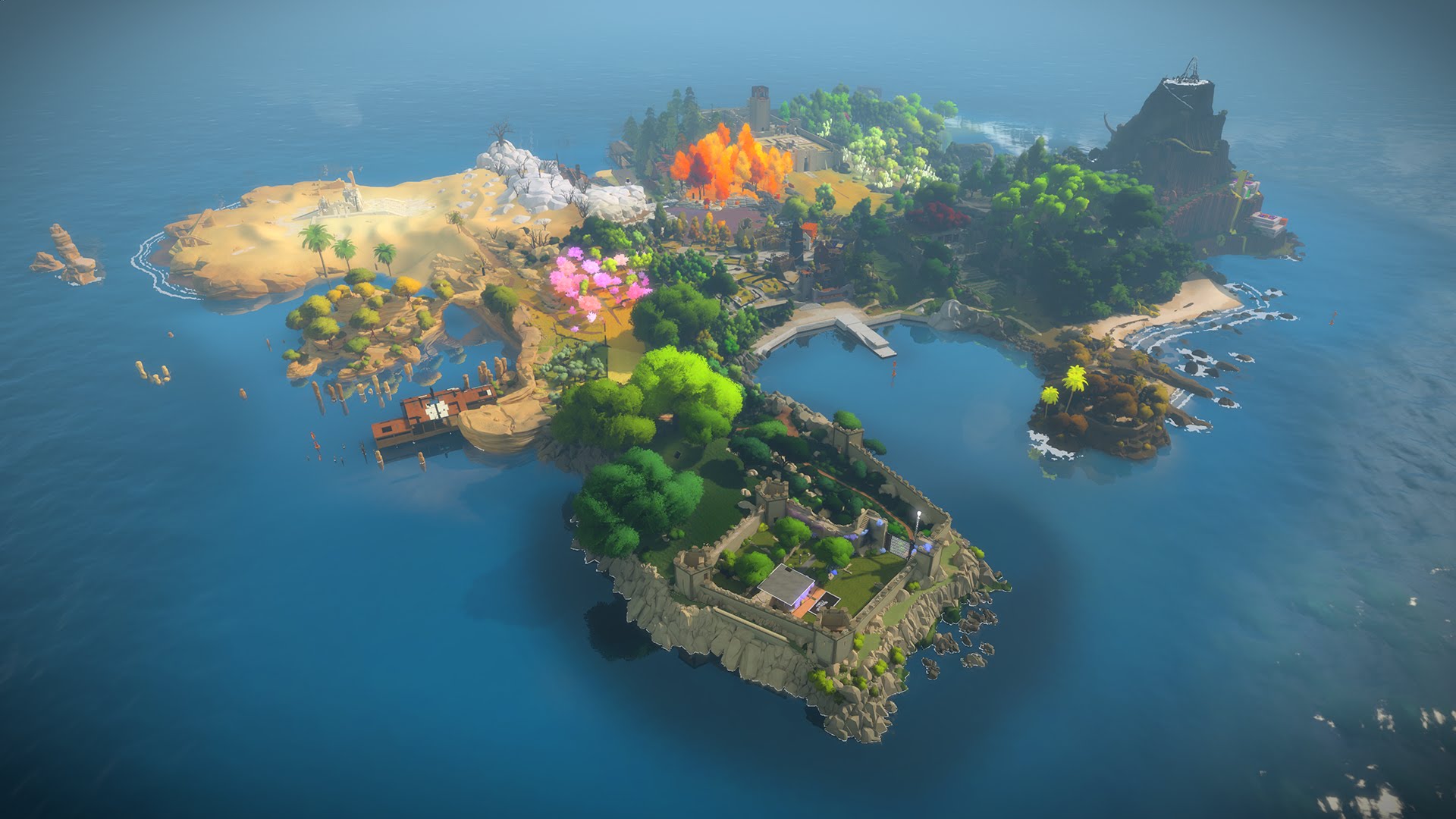 the witness, video game