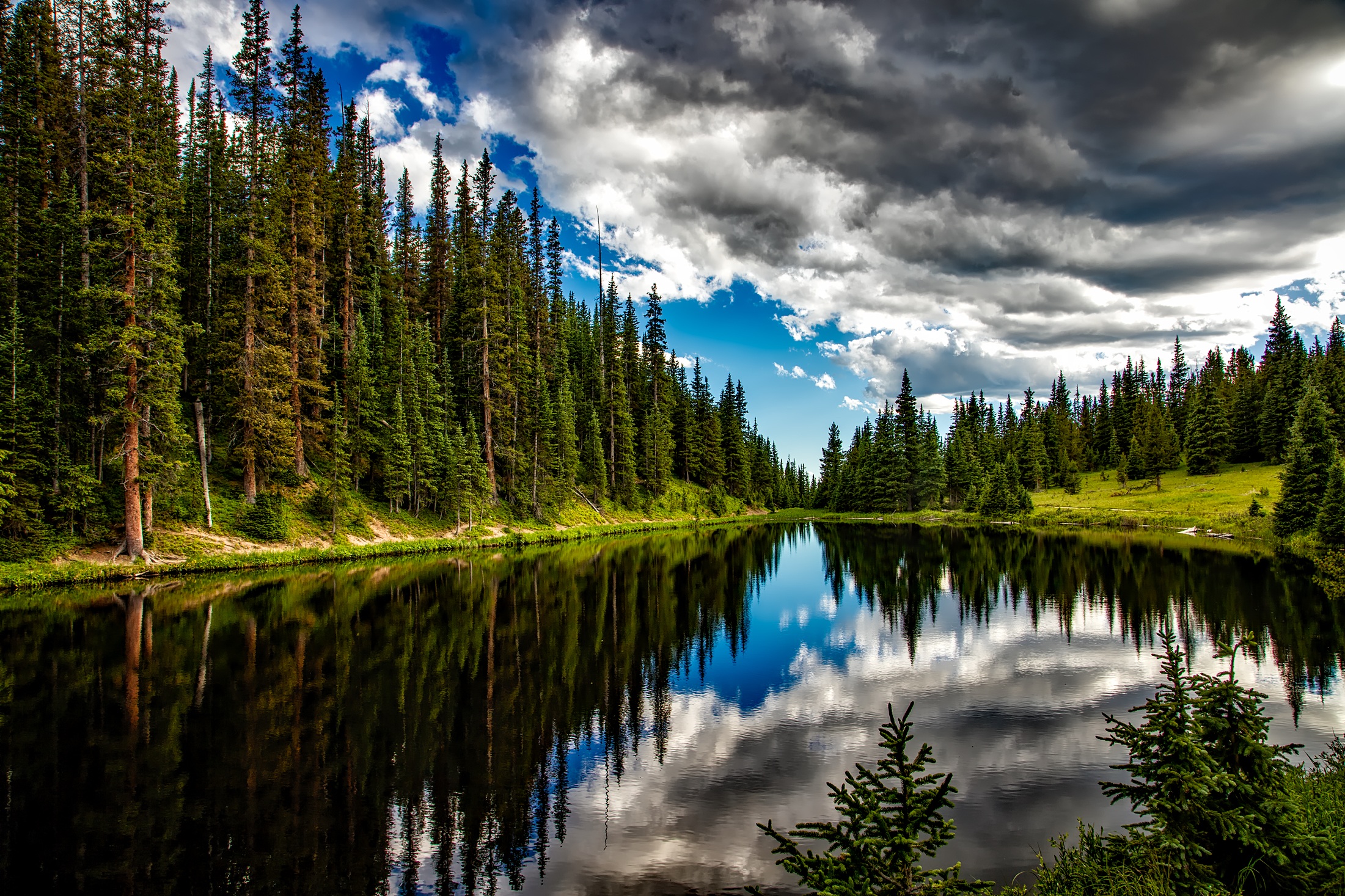 Вся природа и лес и вода. Природа лес. Озеро в лесу. Природа лес озеро. Пейзаж озеро.