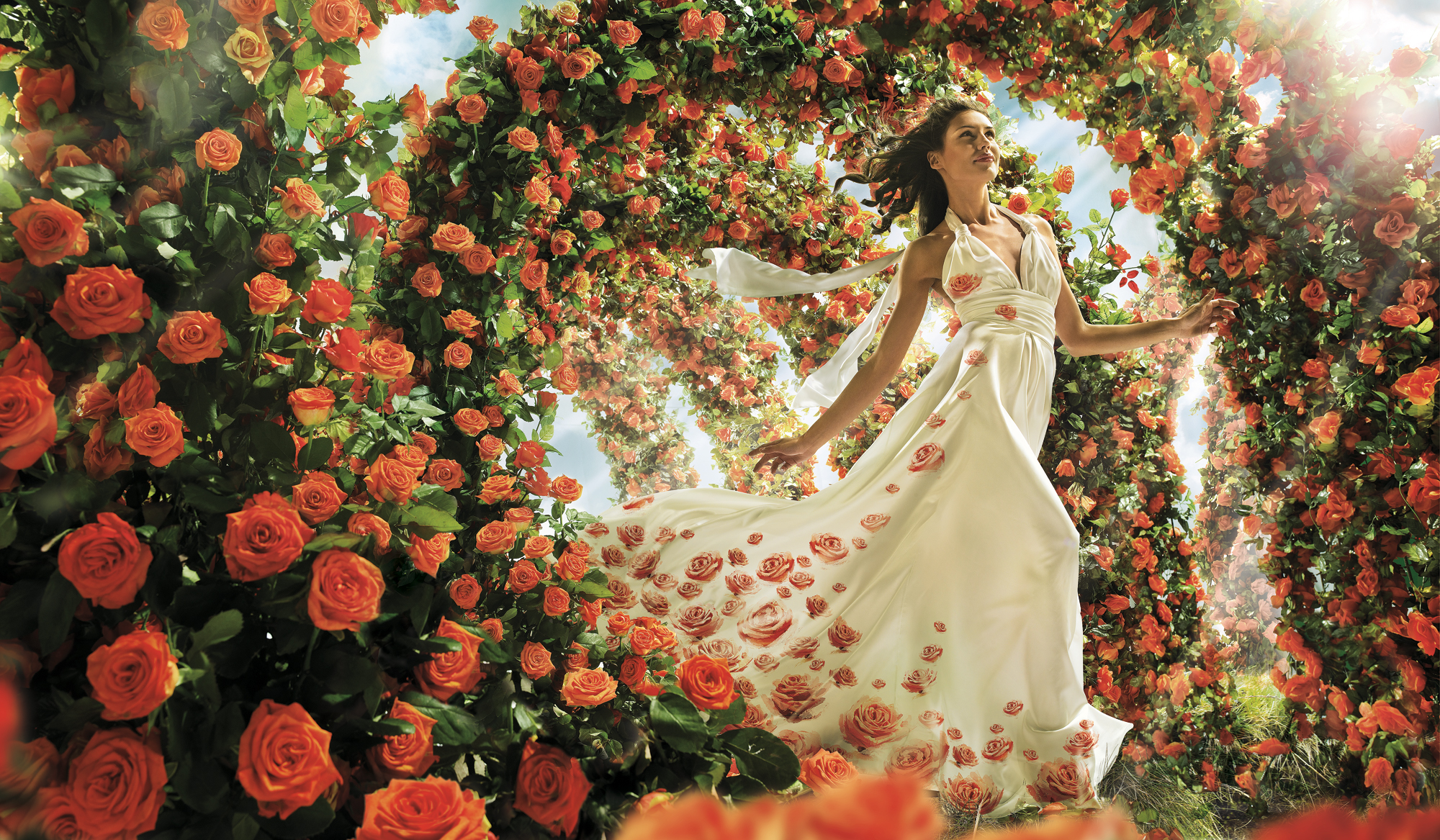 women, artistic, brunette, dress, flower, orange flower, rose, white dress 2160p