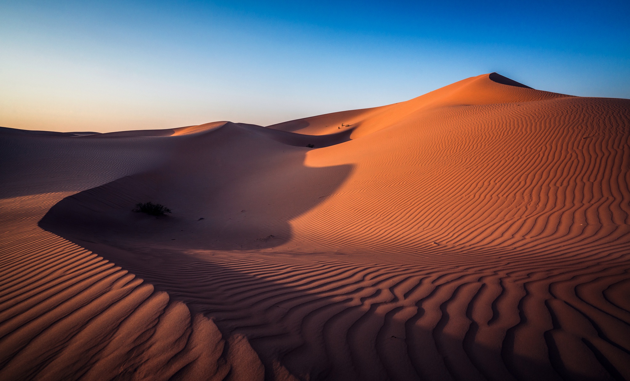 Неживая природа в пустыне. Барханы в Абу Даби. Абу Даби песчаные дюны. Песчаные Барханы в ОАЭ. Дюна в пустыне в ОАЭ.