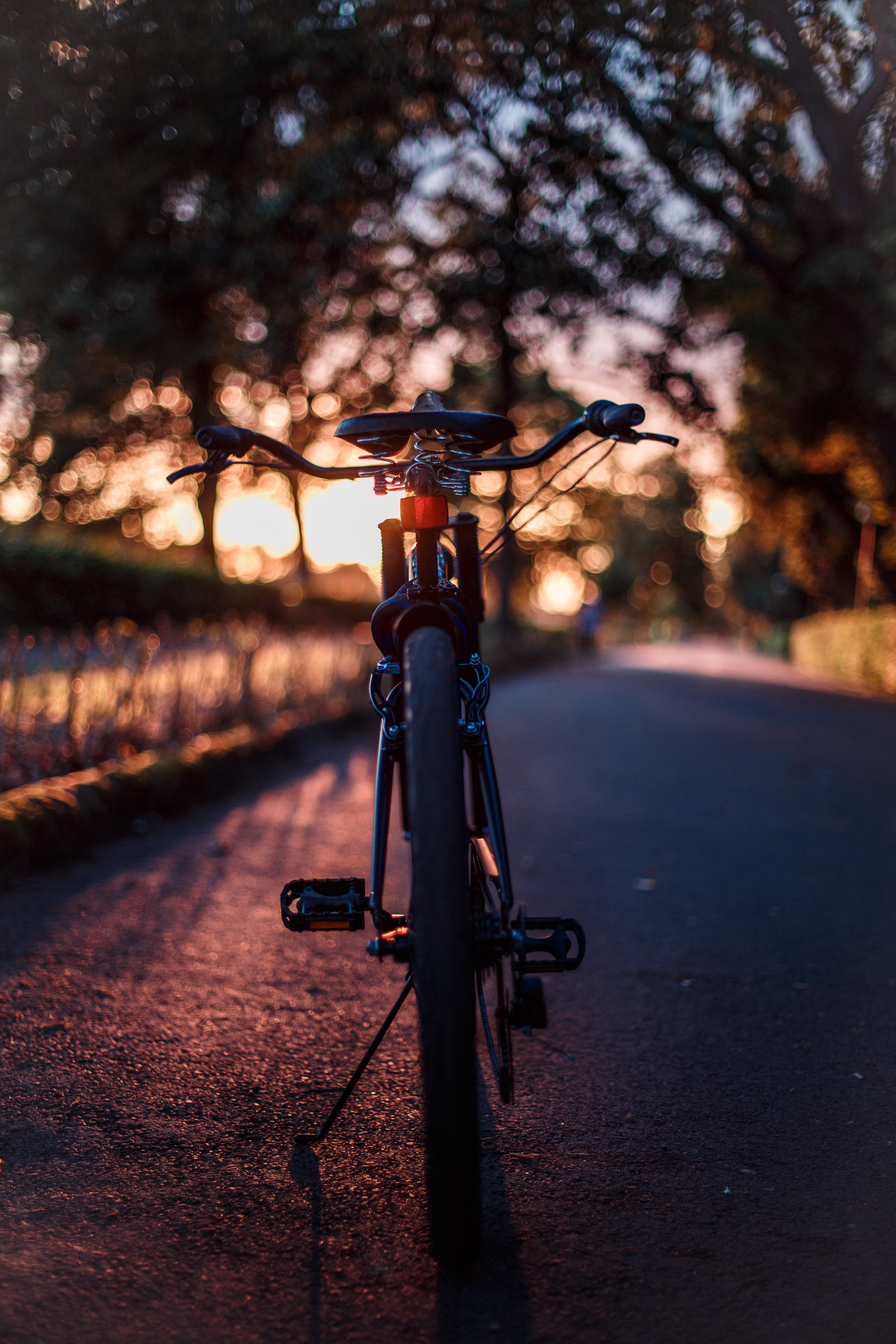 Free Bicycle HD Download HQ