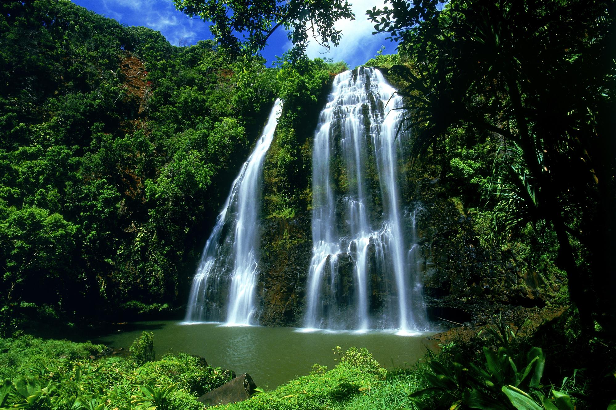 384889 Hintergrundbild herunterladen vegetation, erde/natur, wasserfall, grün, hawaii, kauai, natur, baum, wasser, wasserfälle - Bildschirmschoner und Bilder kostenlos