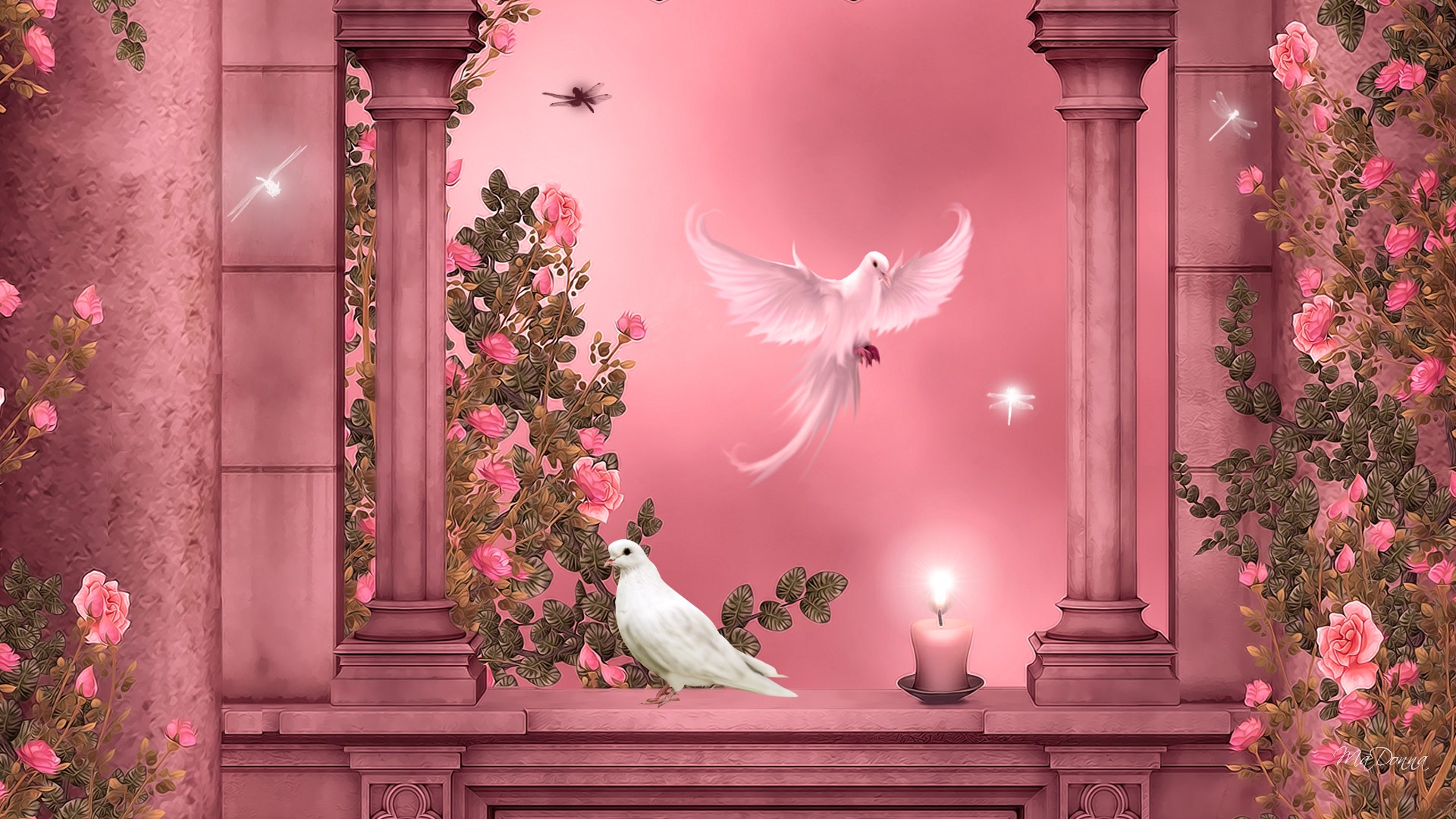 artistic, dove, candle, columns, pink rose, pink, rose