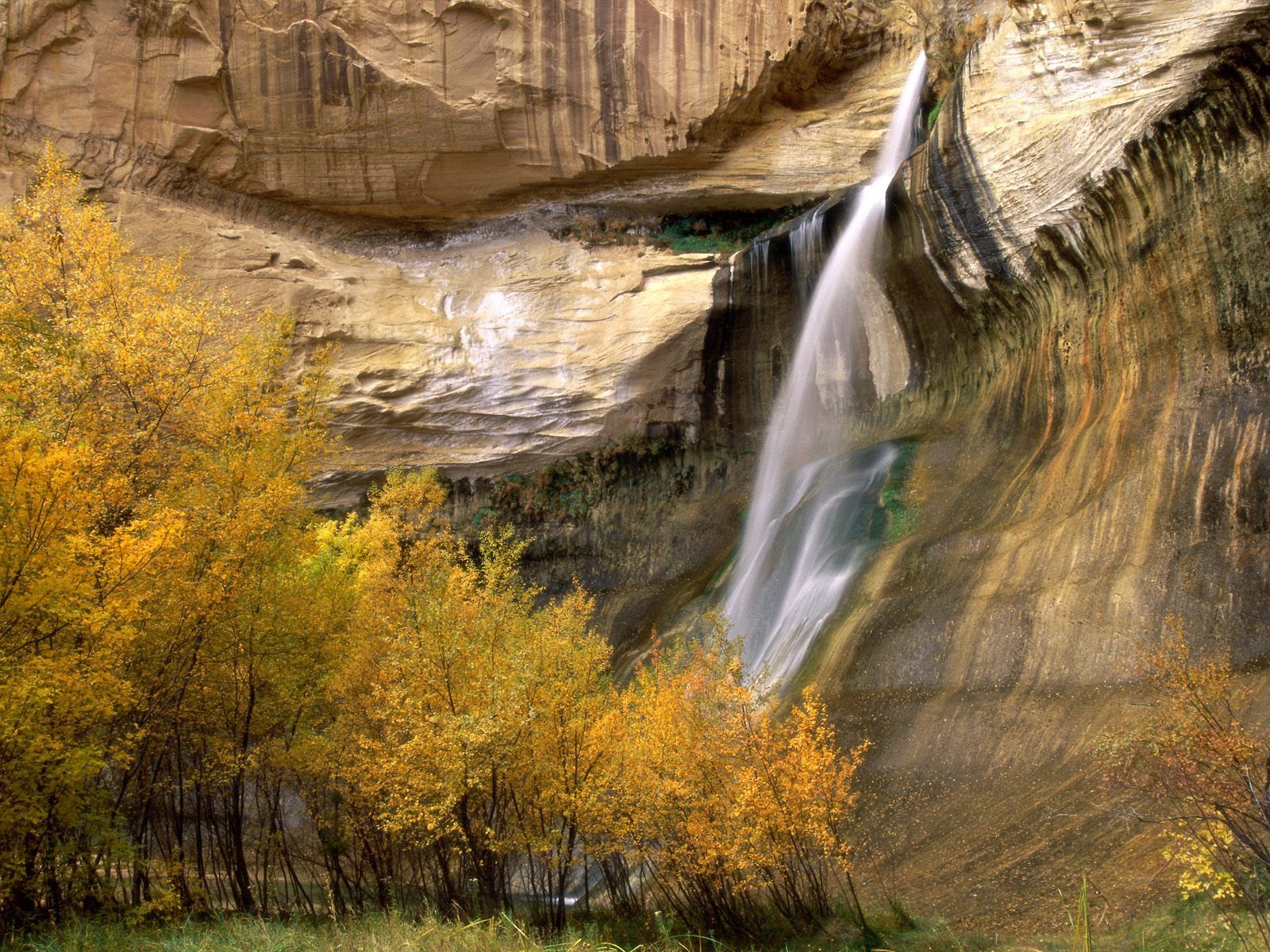 Full HD Wallpaper nature, autumn, trees, grass, waterfall
