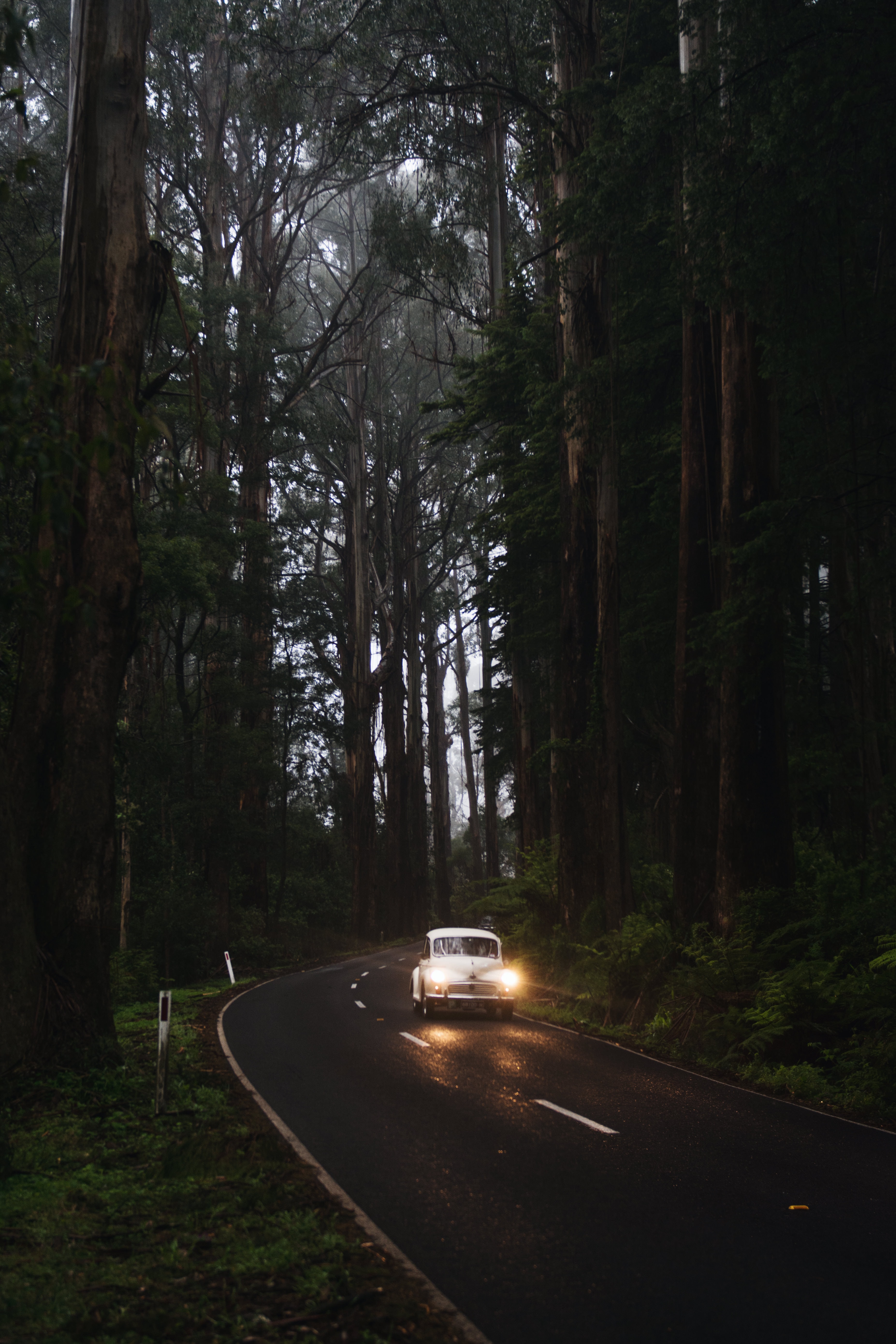 Download mobile wallpaper Lights, Road, Car, Trees, Headlights, Glow, Cars, Retro for free.