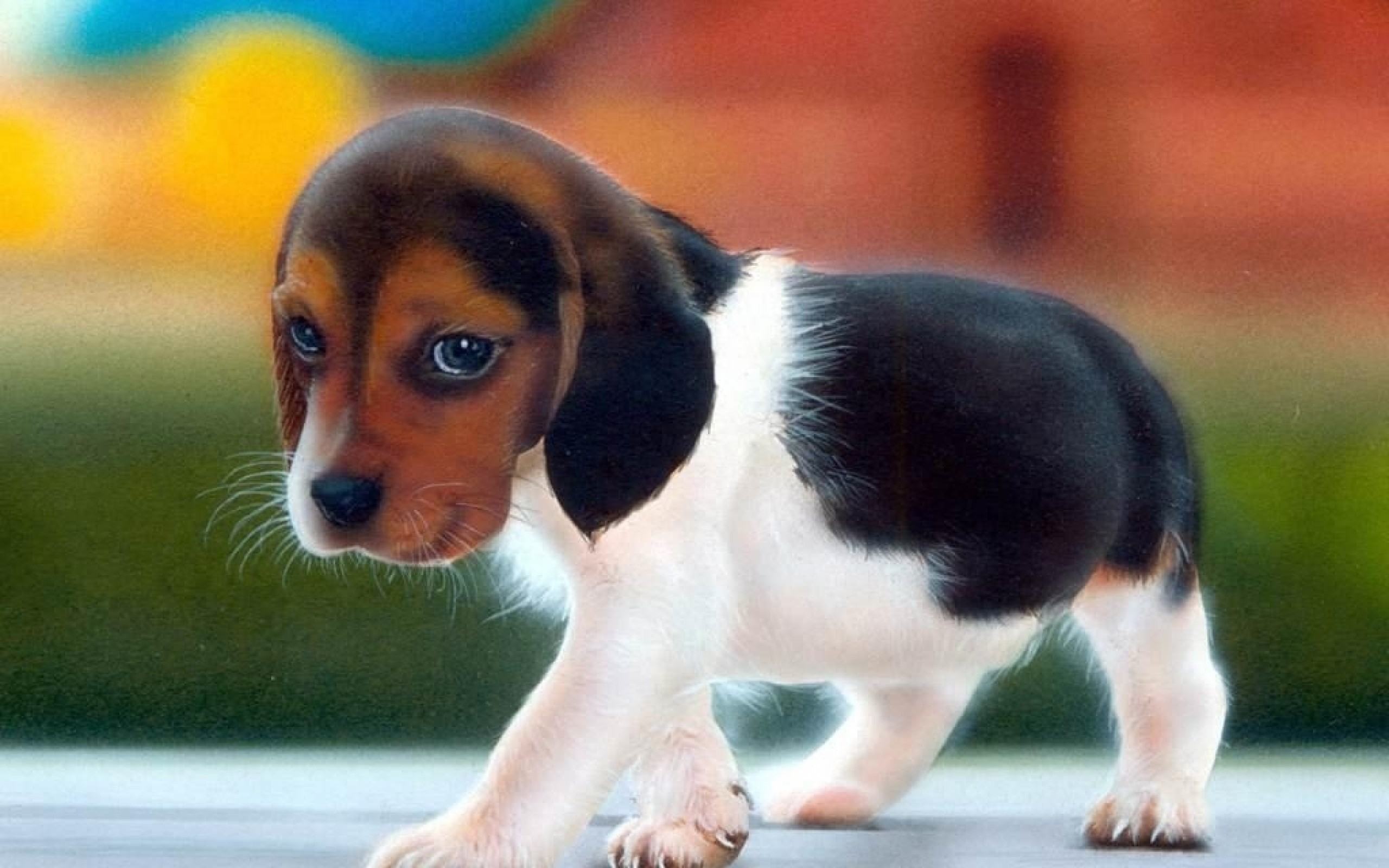 animal, beagle, dogs iphone wallpaper