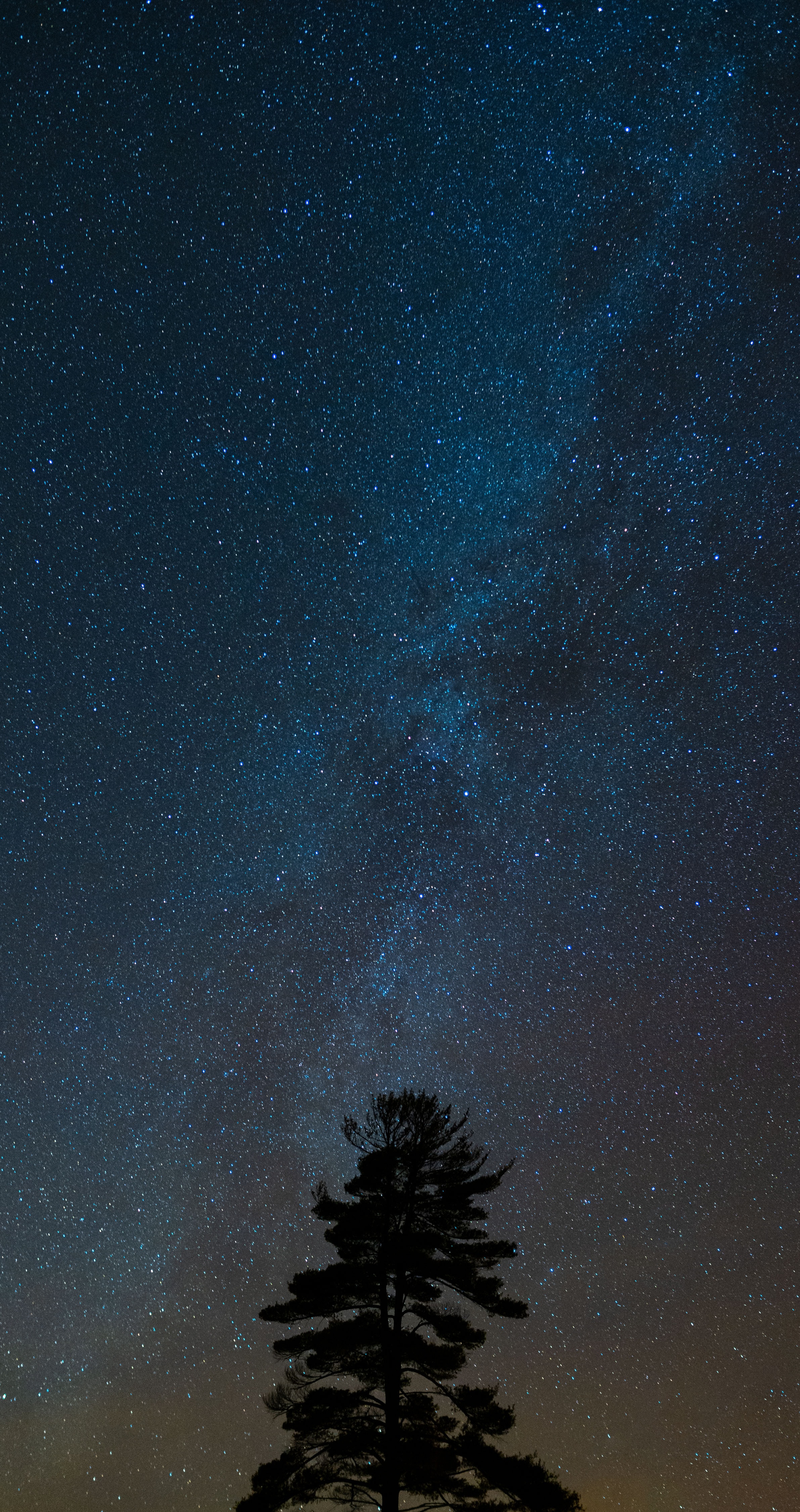 Download mobile wallpaper Wood, Tree, Starry Sky, Night, Dark, Darkness for free.