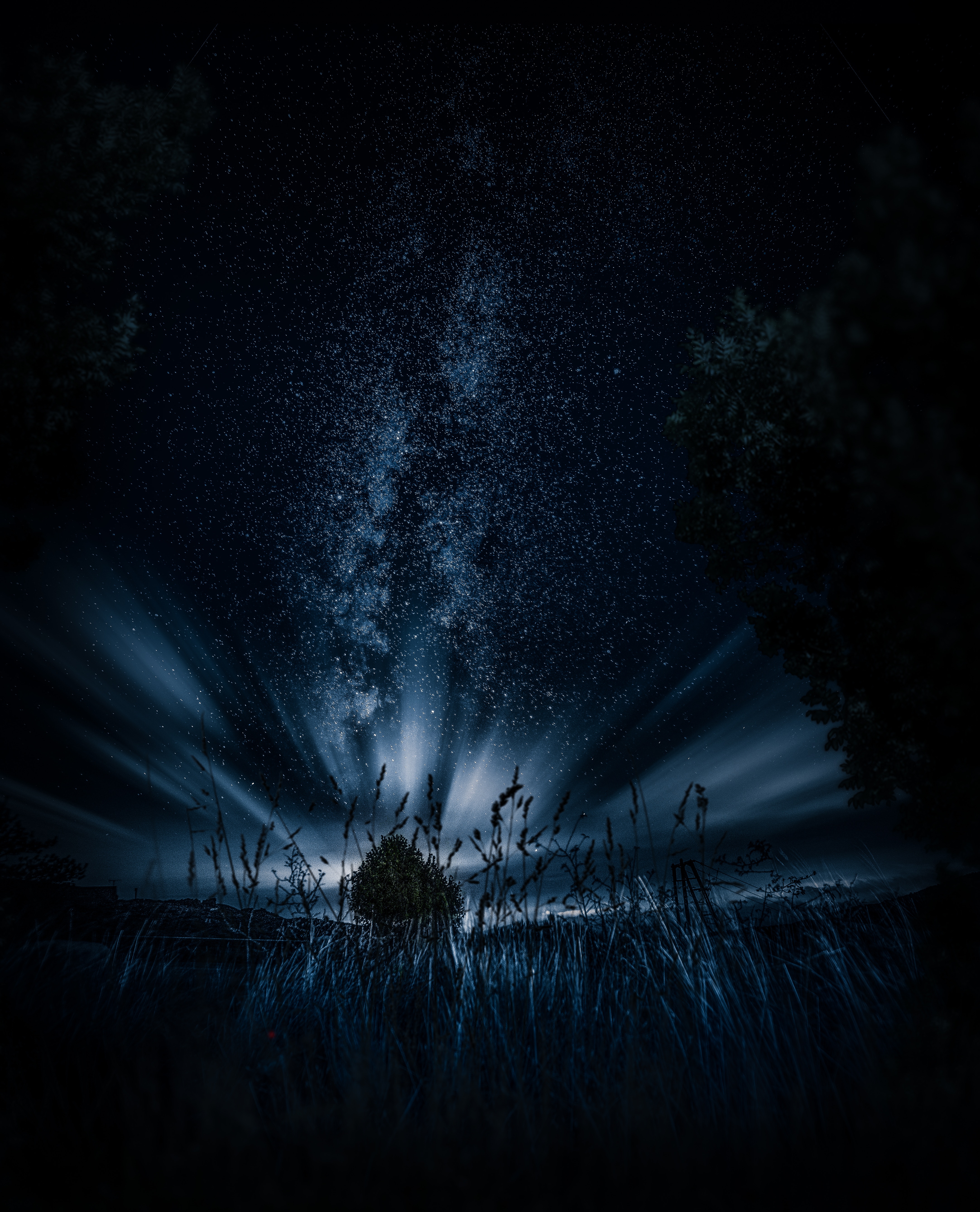 starry sky, dark, night, grass, wood, tree Smartphone Background