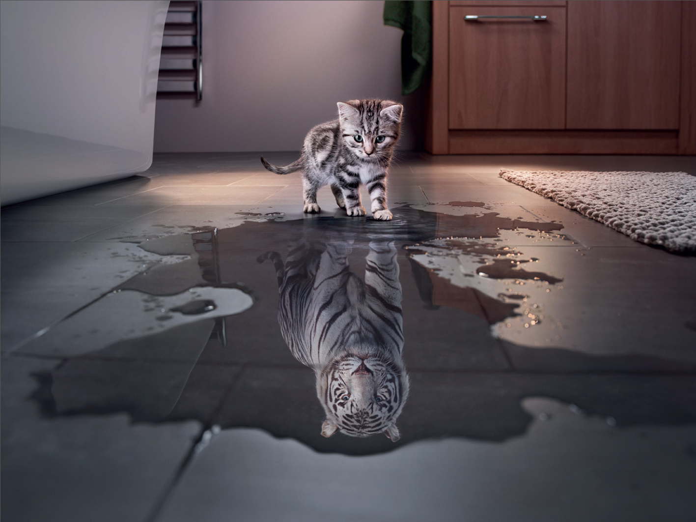 369711 baixar papel de parede tigre branco, gatinho, tigre, gatos, manipulação, fofo, animais, gato - protetores de tela e imagens gratuitamente