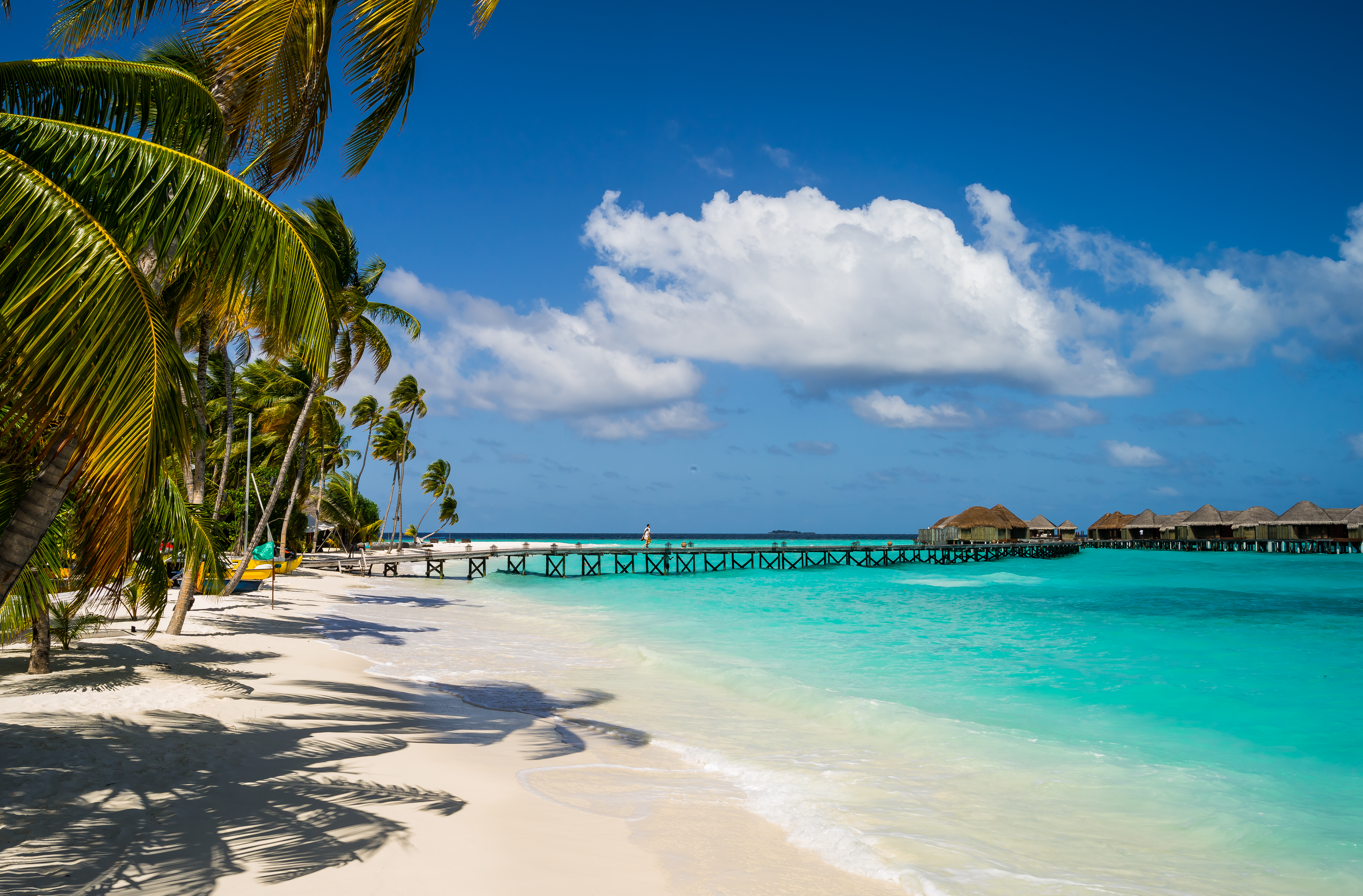 beach, maldives, sea, resort, photography, constance halaveli resort, holiday, lagoon, palm tree, pier, tropics
