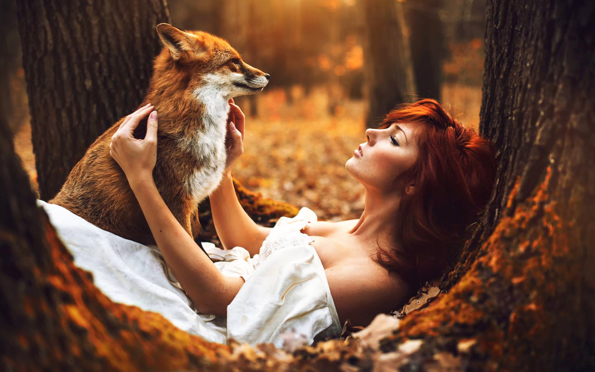 Фото лисы рыжей на аватарку красивое