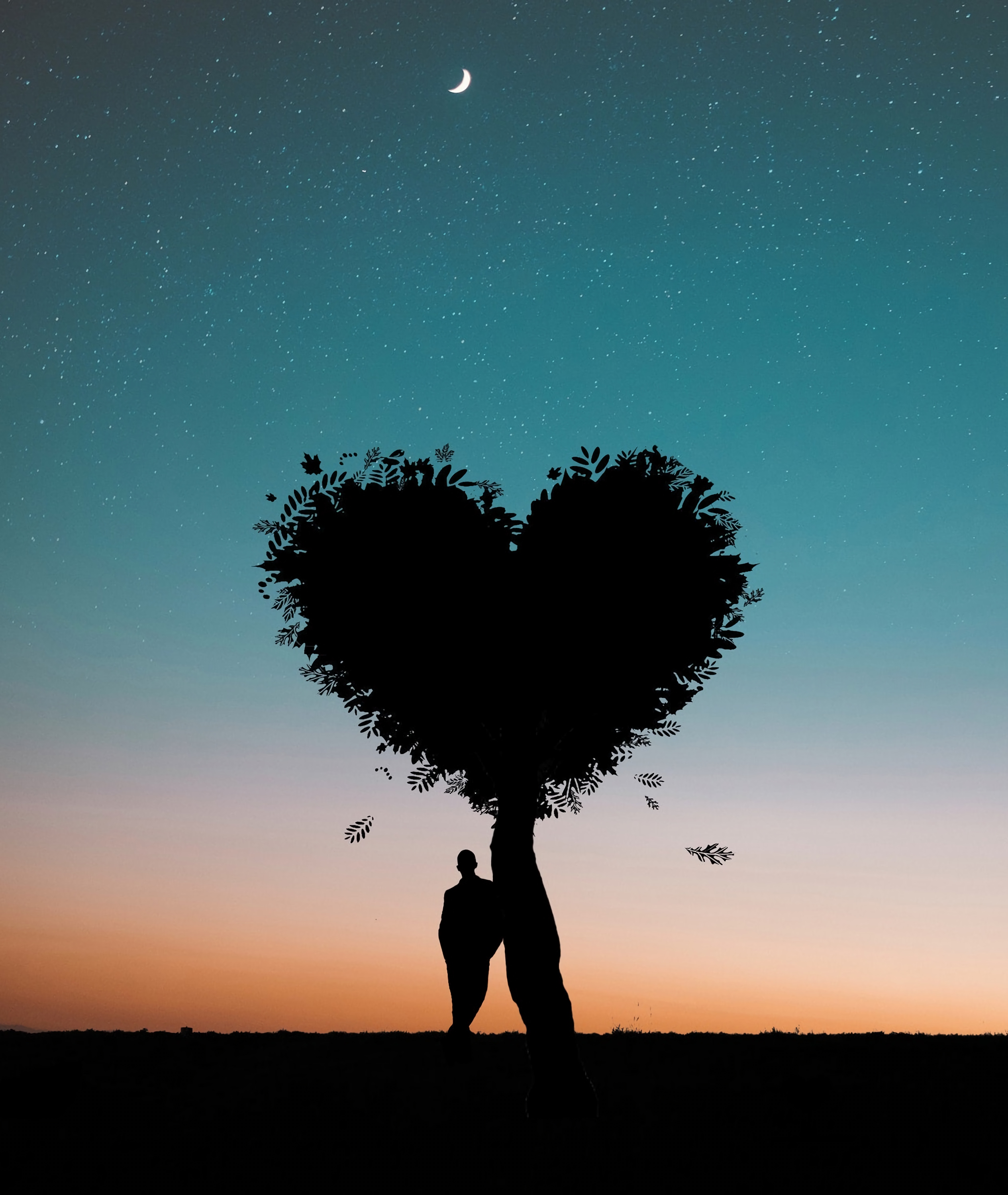 person, love, human, tree, heart, silhouette, wood QHD