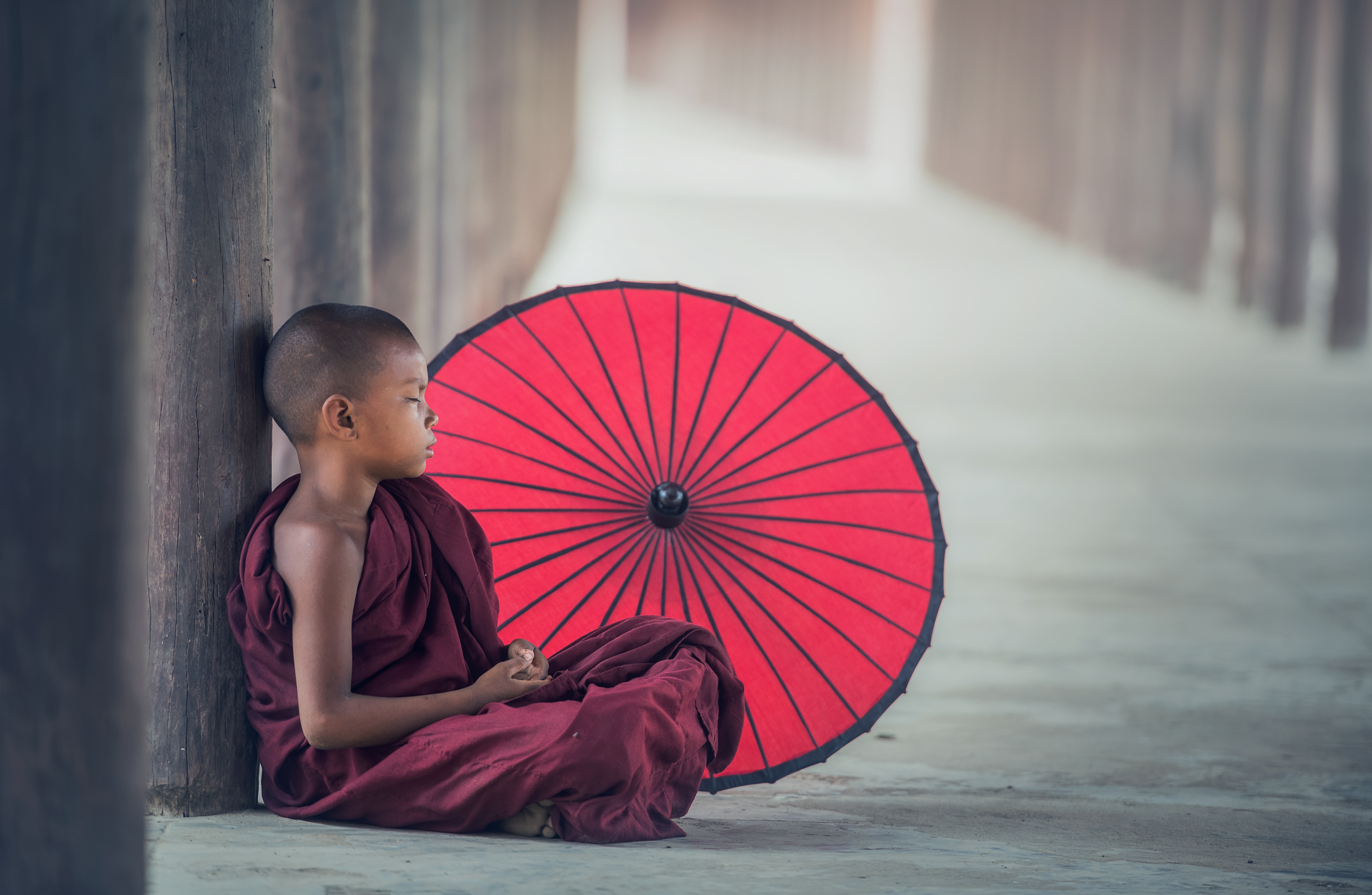 834306 descargar imagen budismo, religioso, monje, paraguas: fondos de pantalla y protectores de pantalla gratis