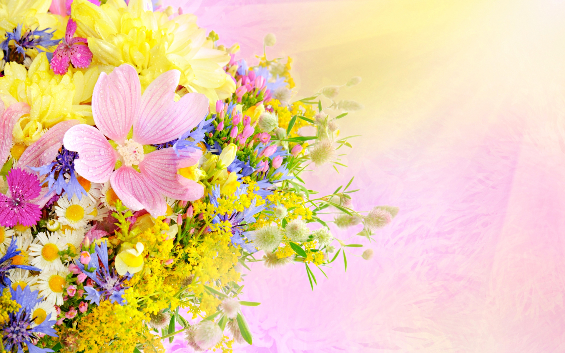 272374 Bildschirmschoner und Hintergrundbilder Blumen auf Ihrem Telefon. Laden Sie  Bilder kostenlos herunter