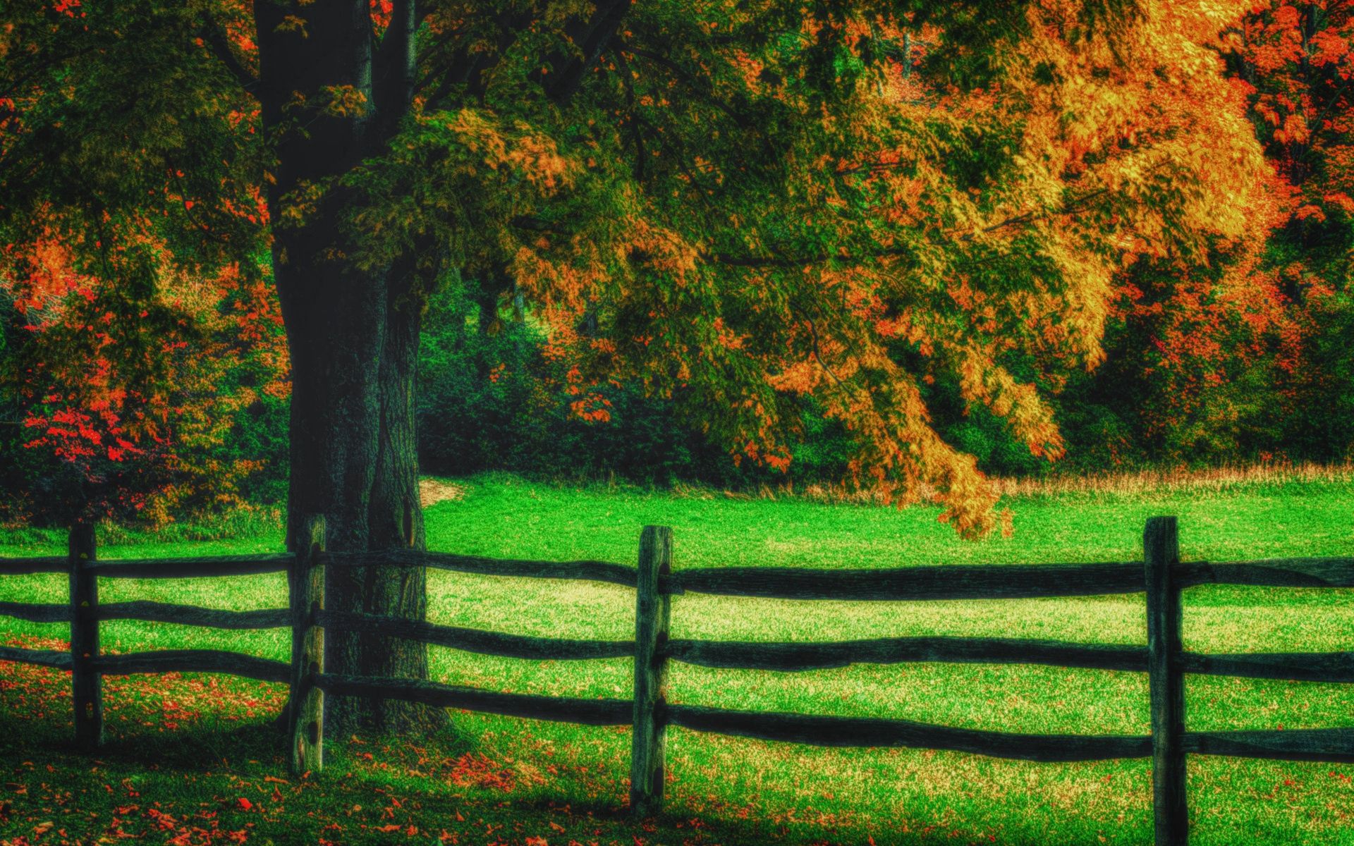 Download mobile wallpaper Wood, Enclosure, Tree, Fencing, Nature, Art for free.