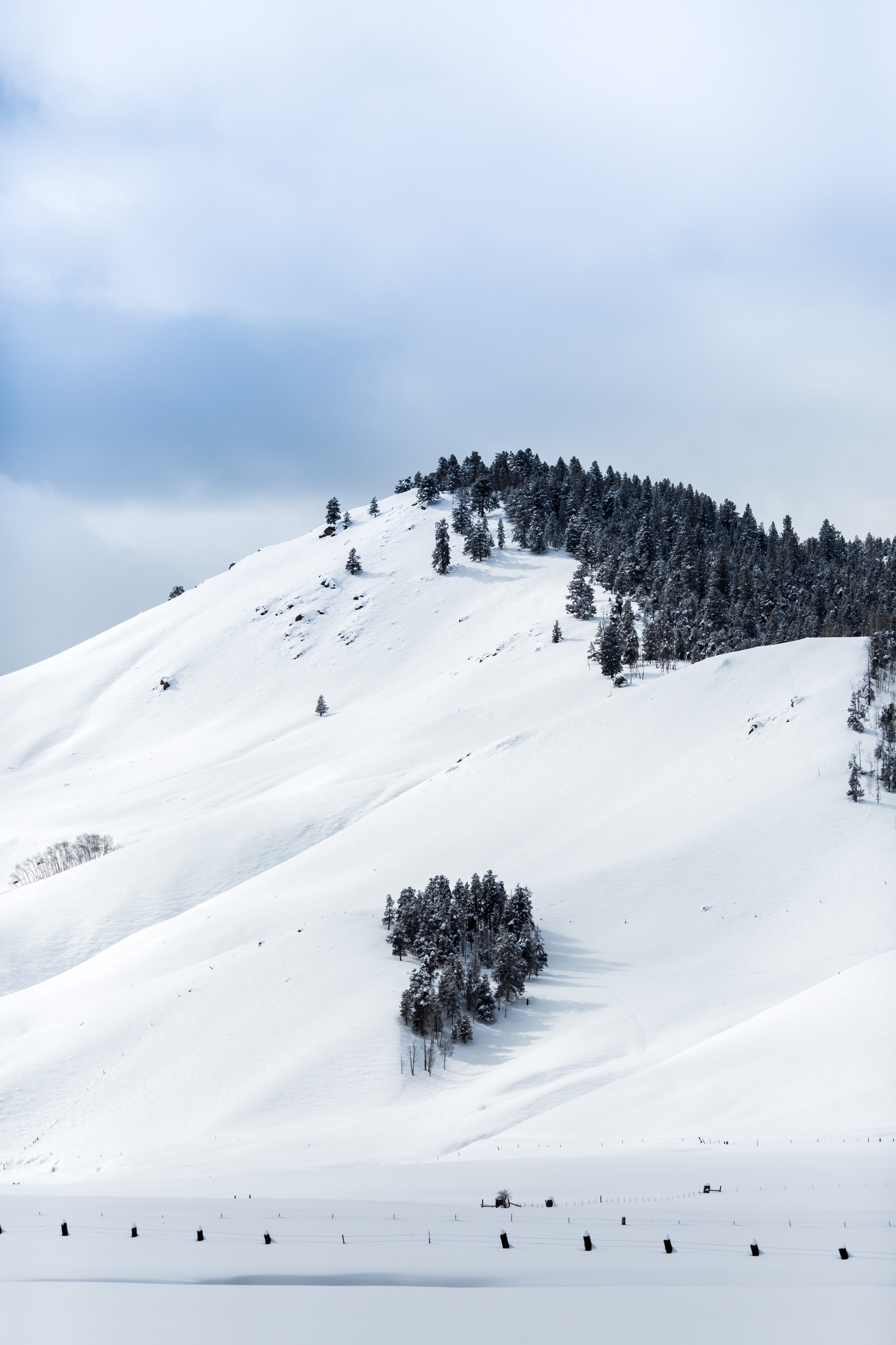 Download PC Wallpaper winter, nature, trees, mountains, snow, vertex, top