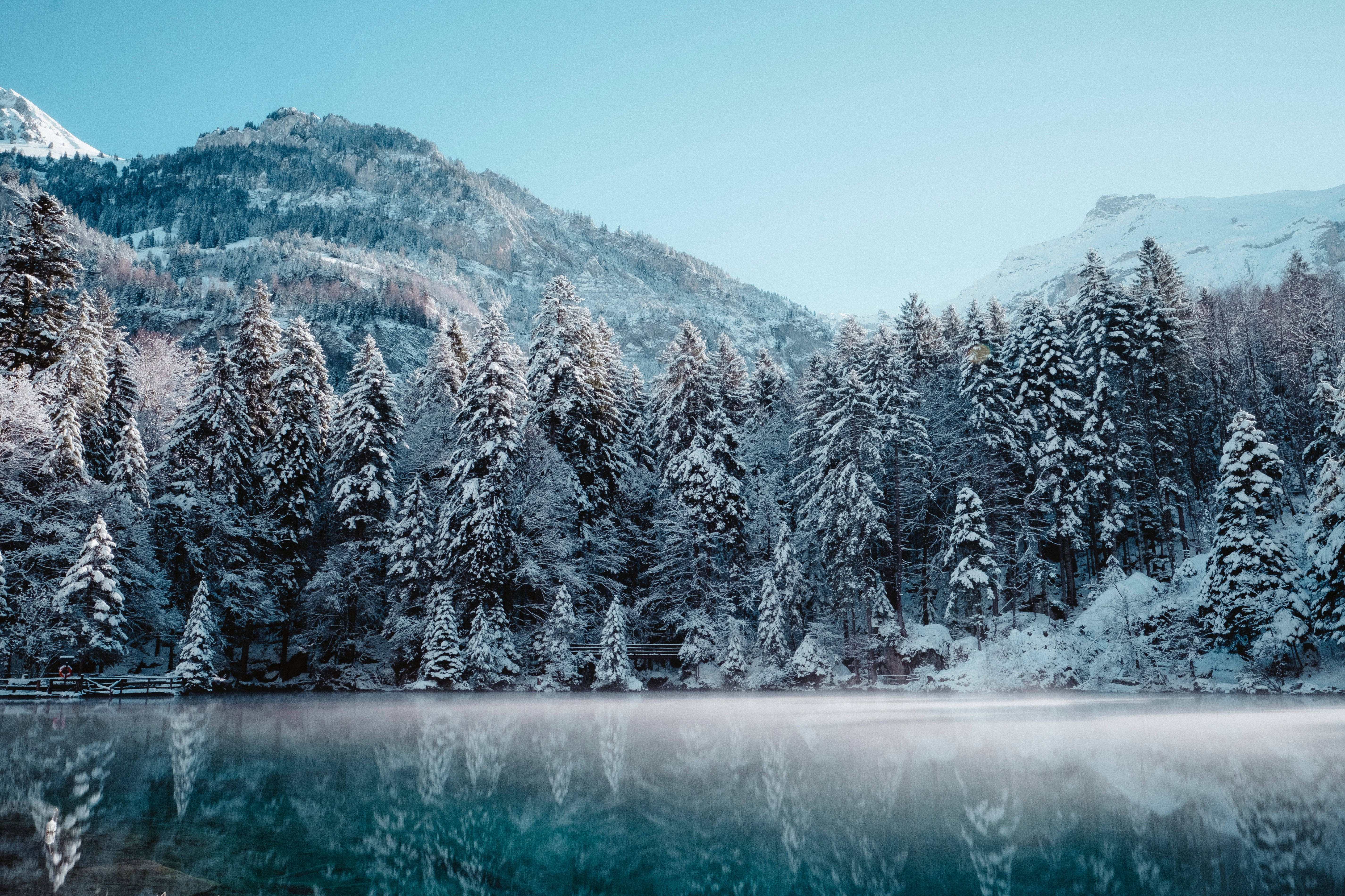 Швейцария горы лес зима