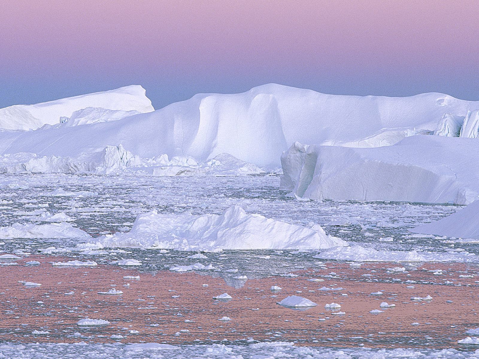 Download mobile wallpaper Cold, Pink, Greenland, Iceberg, Nature for free.