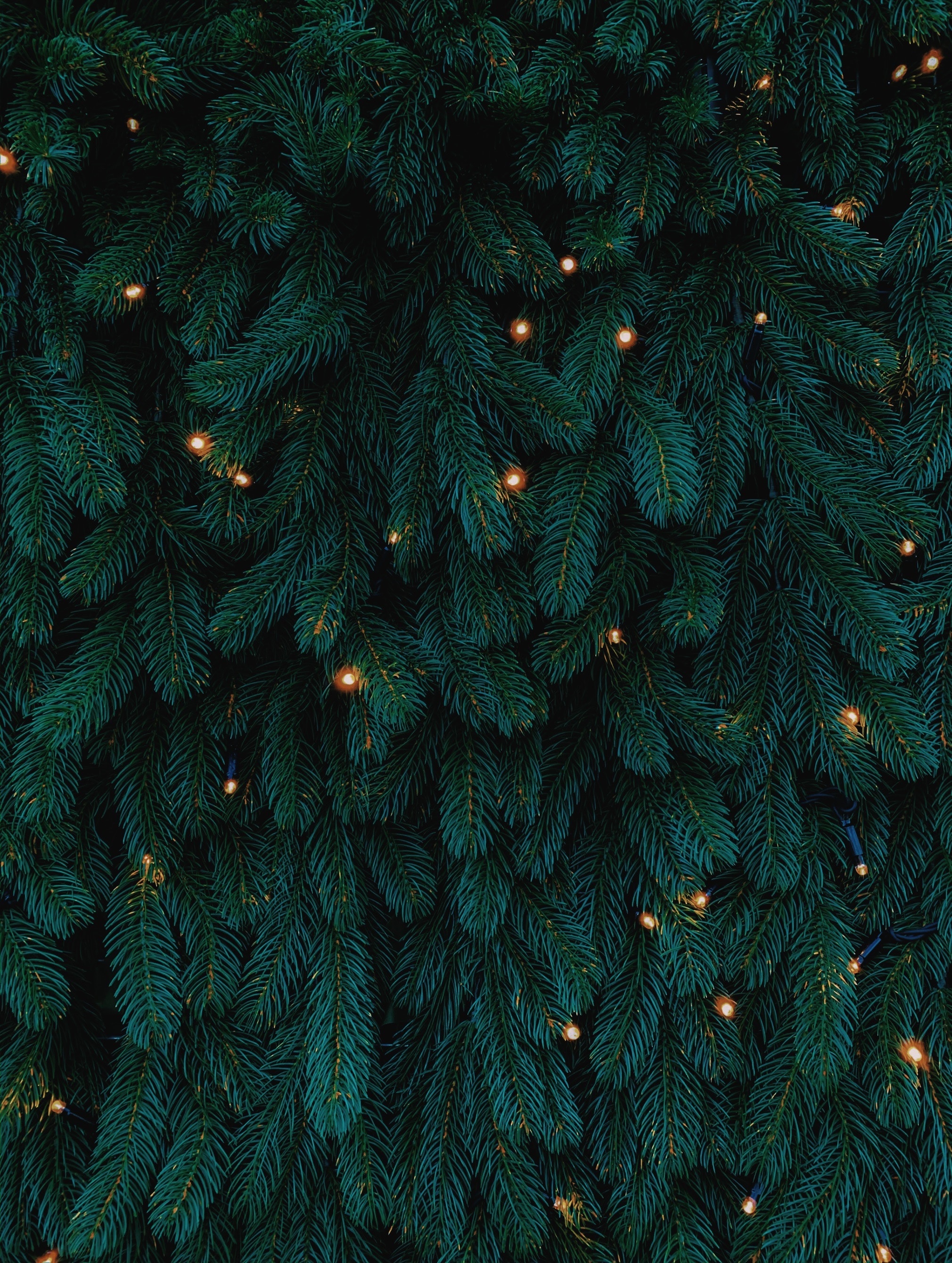 iPhone Wallpapers  Holidays