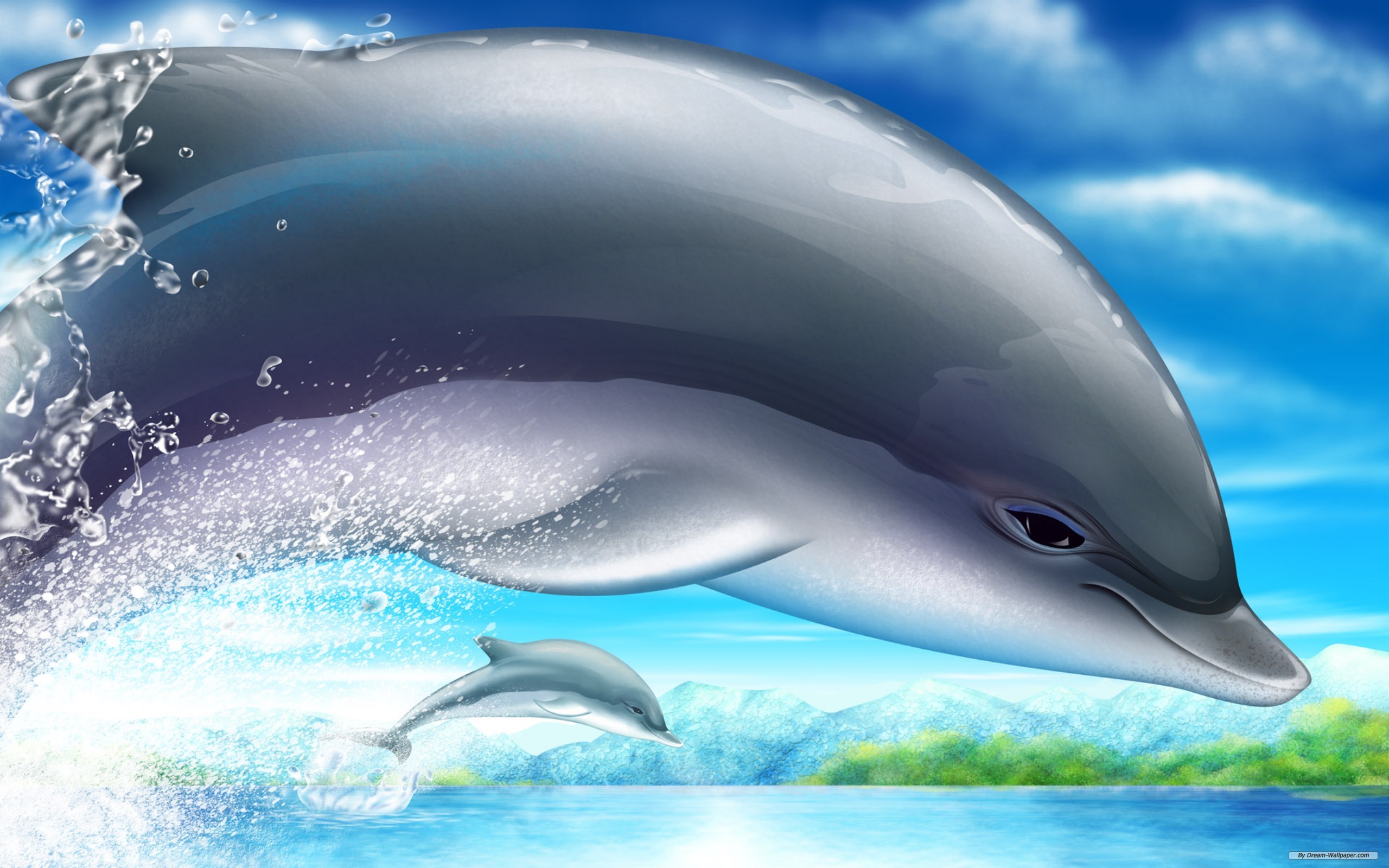 Живая природа дельфины. Дельфины фото. Обои дельфины. Картинки на рабочий стол дельфины. Дельфин рисунок.