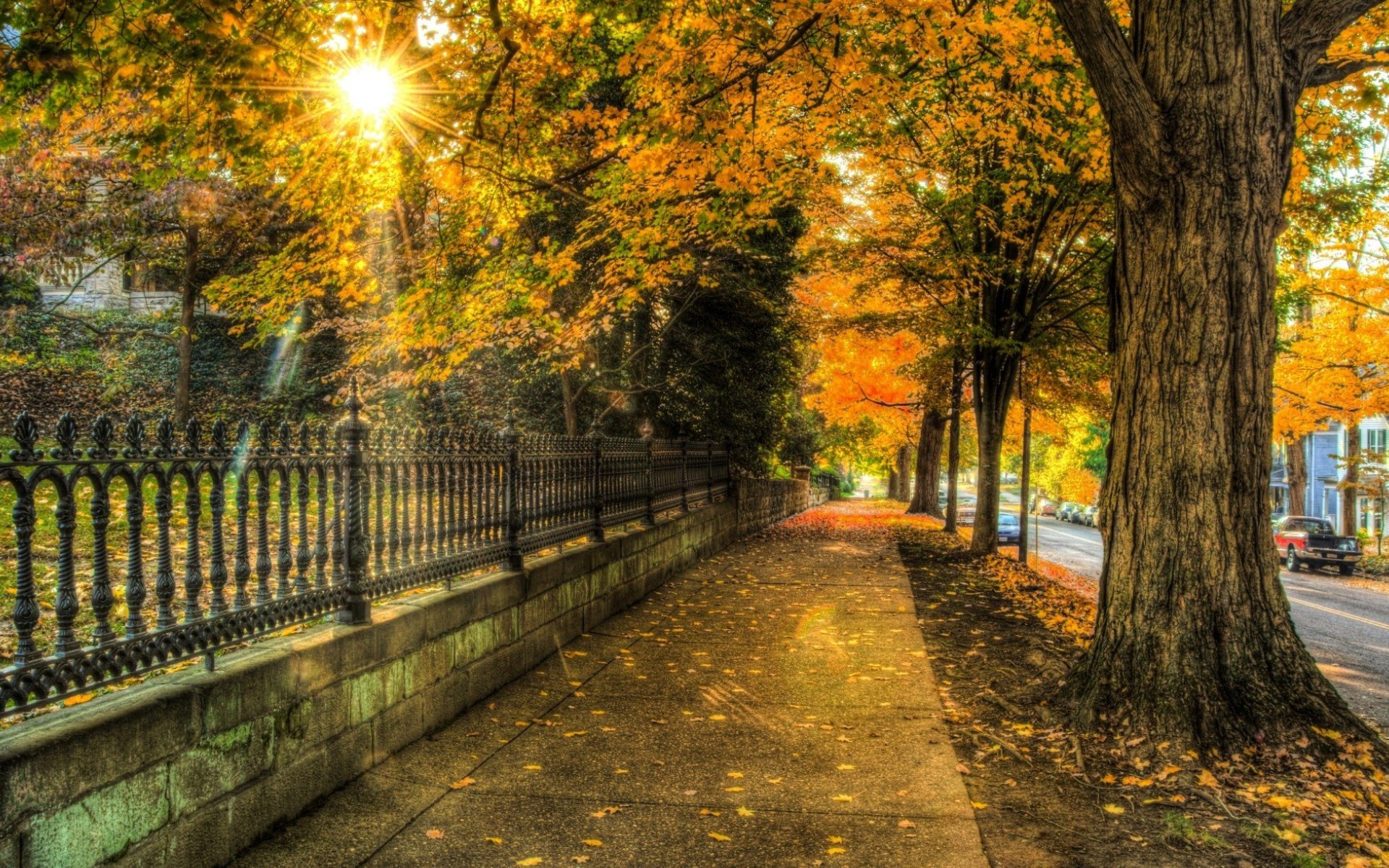 Download mobile wallpaper Sunset, Tree, Fall, Alley, Fence, Hdr, Street, Man Made, Sunshine for free.