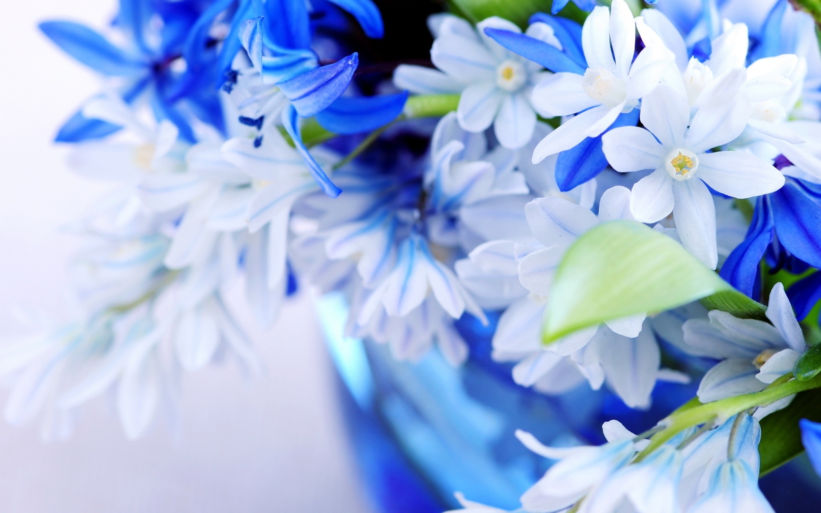 35506 free download Blue wallpapers for phone,  Blue images and screensavers for mobile