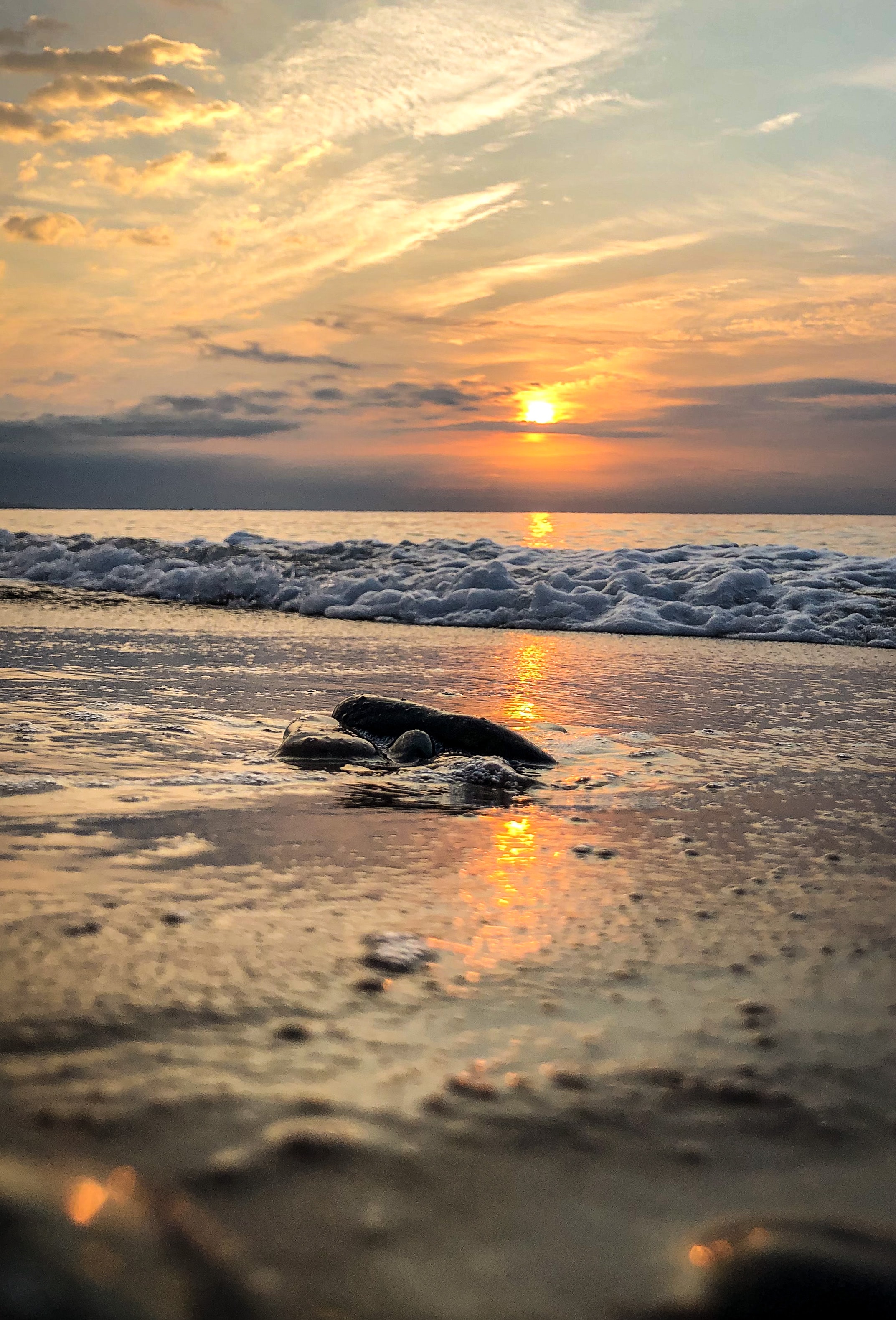 Laden Sie das Natur, Sunset, Horizont, Küste, Stein, Ein Stein, Waves-Bild kostenlos auf Ihren PC-Desktop herunter