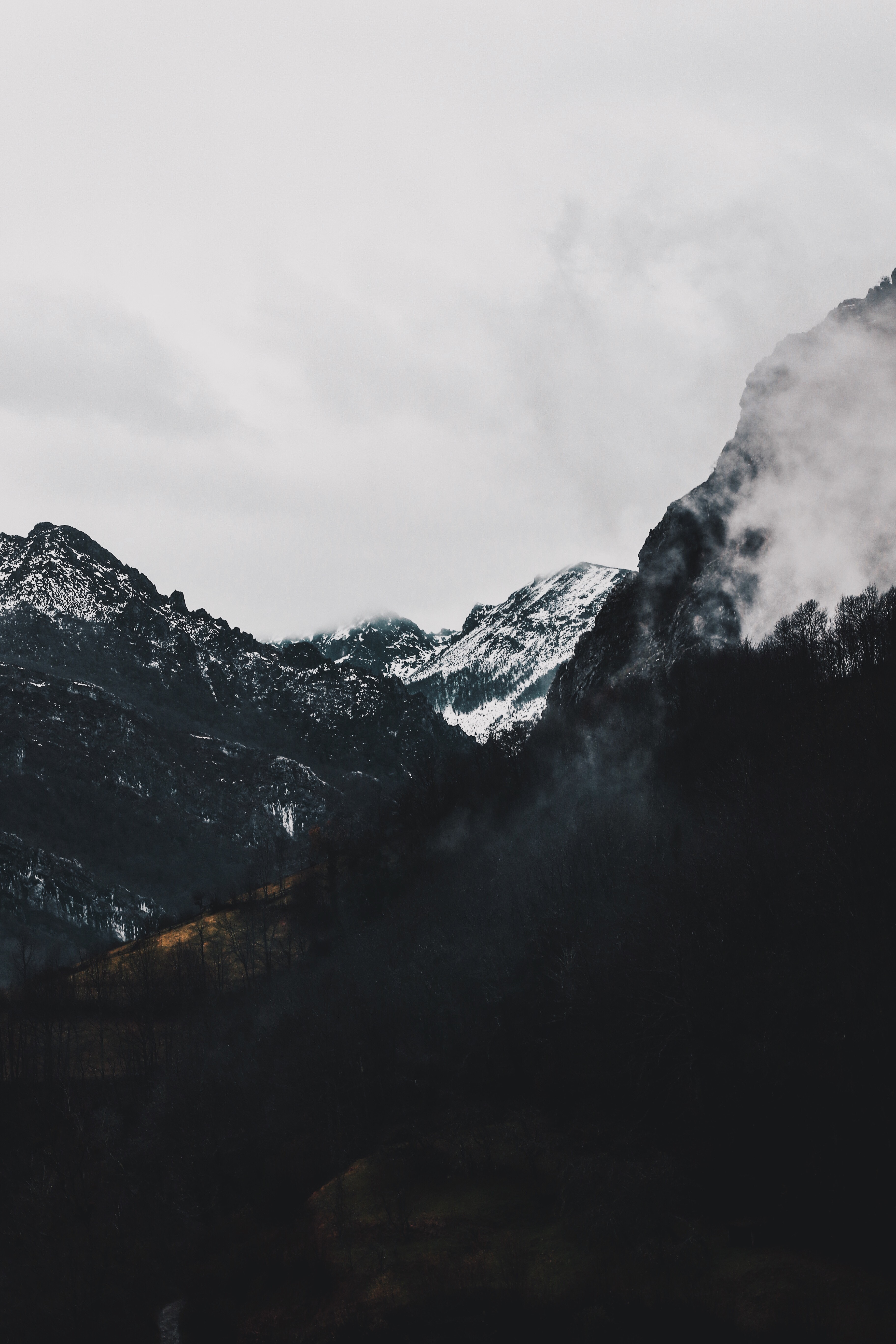 124423 Hintergrundbild herunterladen landschaft, natur, mountains, wald, nebel, alpin, alpine - Bildschirmschoner und Bilder kostenlos