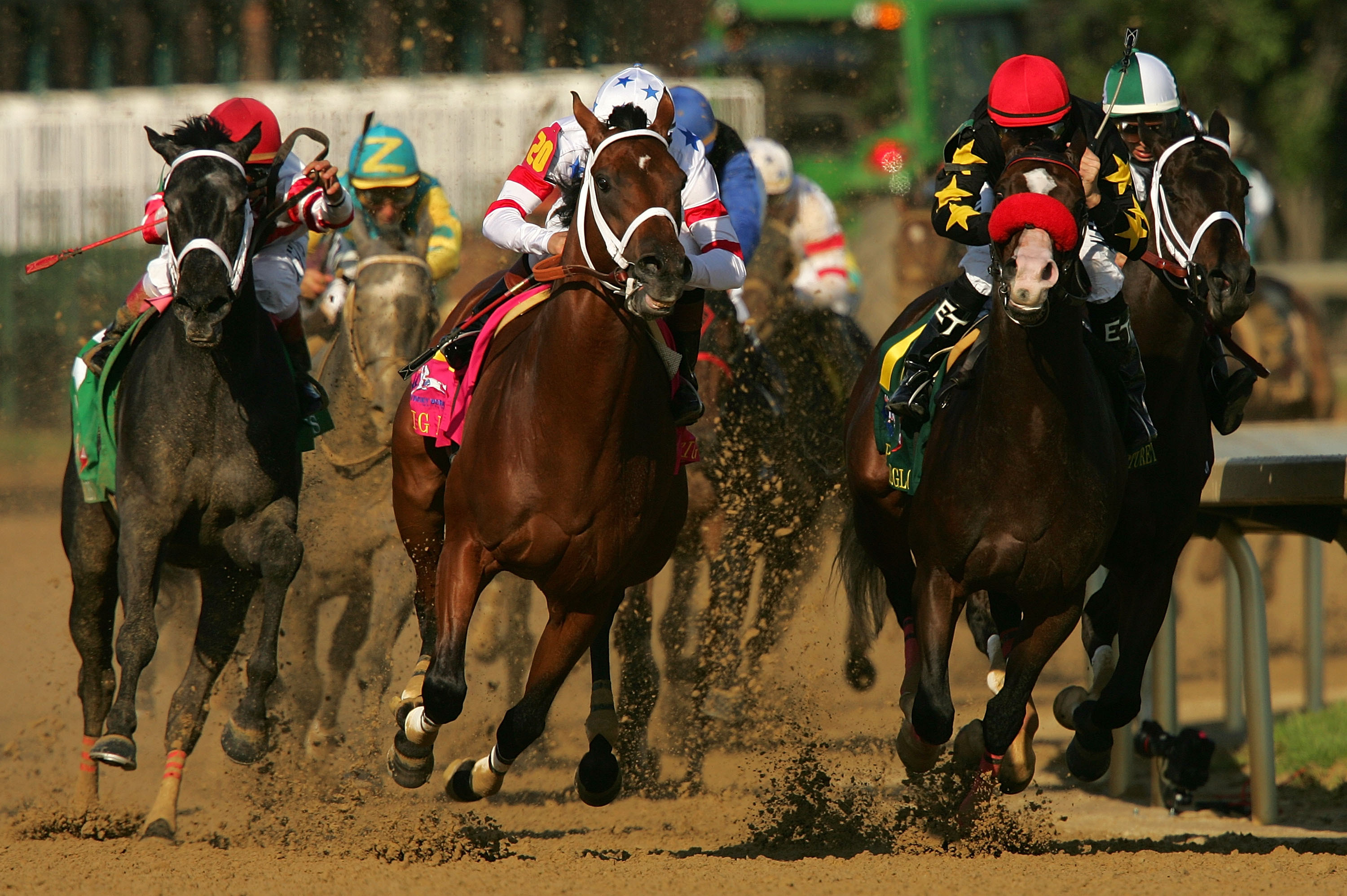 Download mobile wallpaper California Chrome, Dominating Fashion, Kentucky Derby, Sports for free.