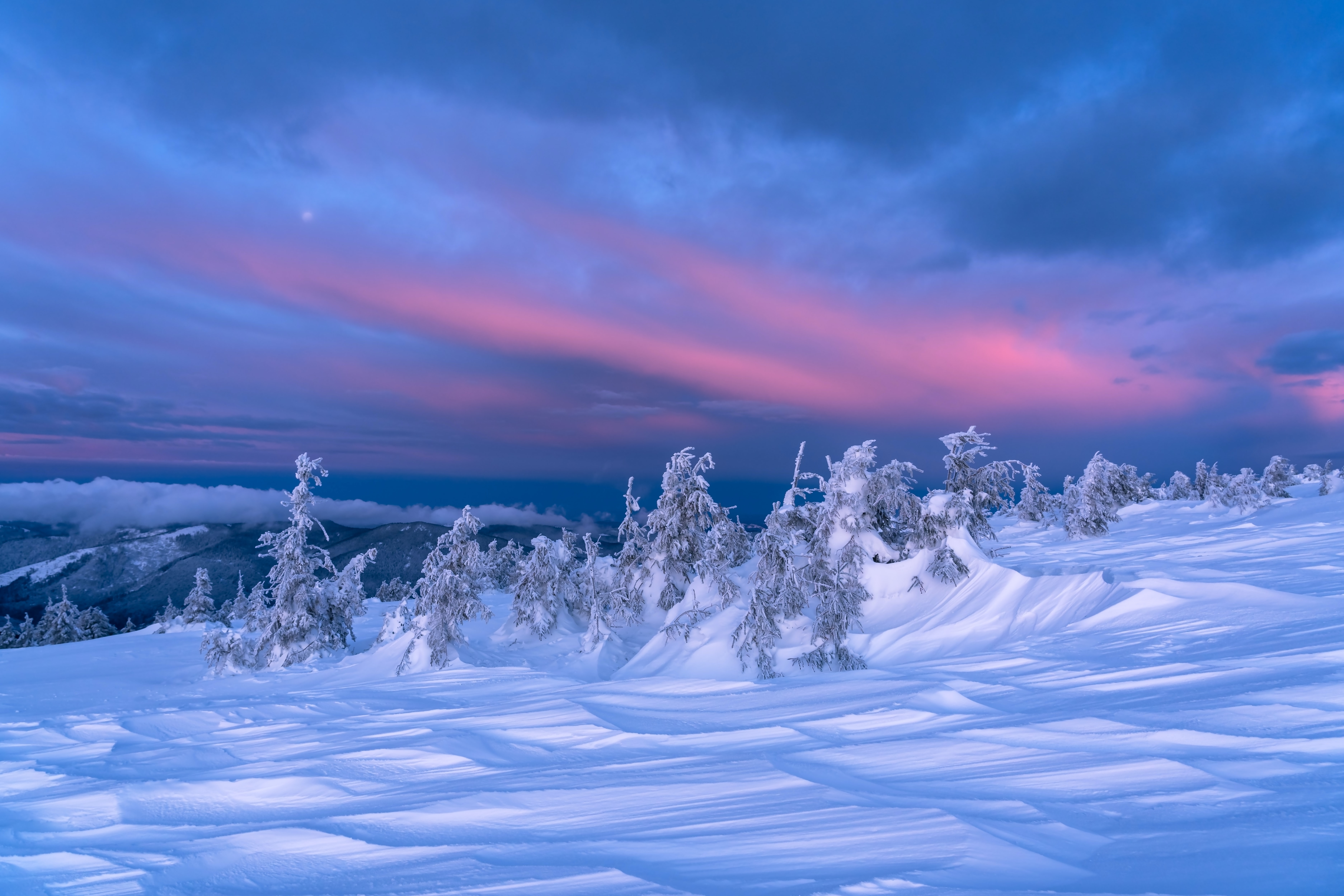 PCデスクトップに自然, 木, 薄明, 冬, 雪, 夕暮れ, 風景画像を無料でダウンロード