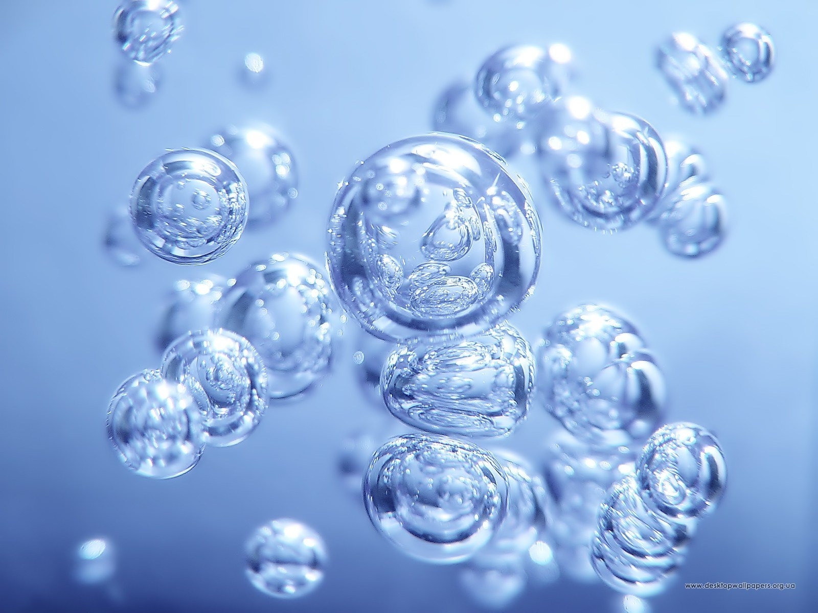 bubbles, drops, water, background, blue