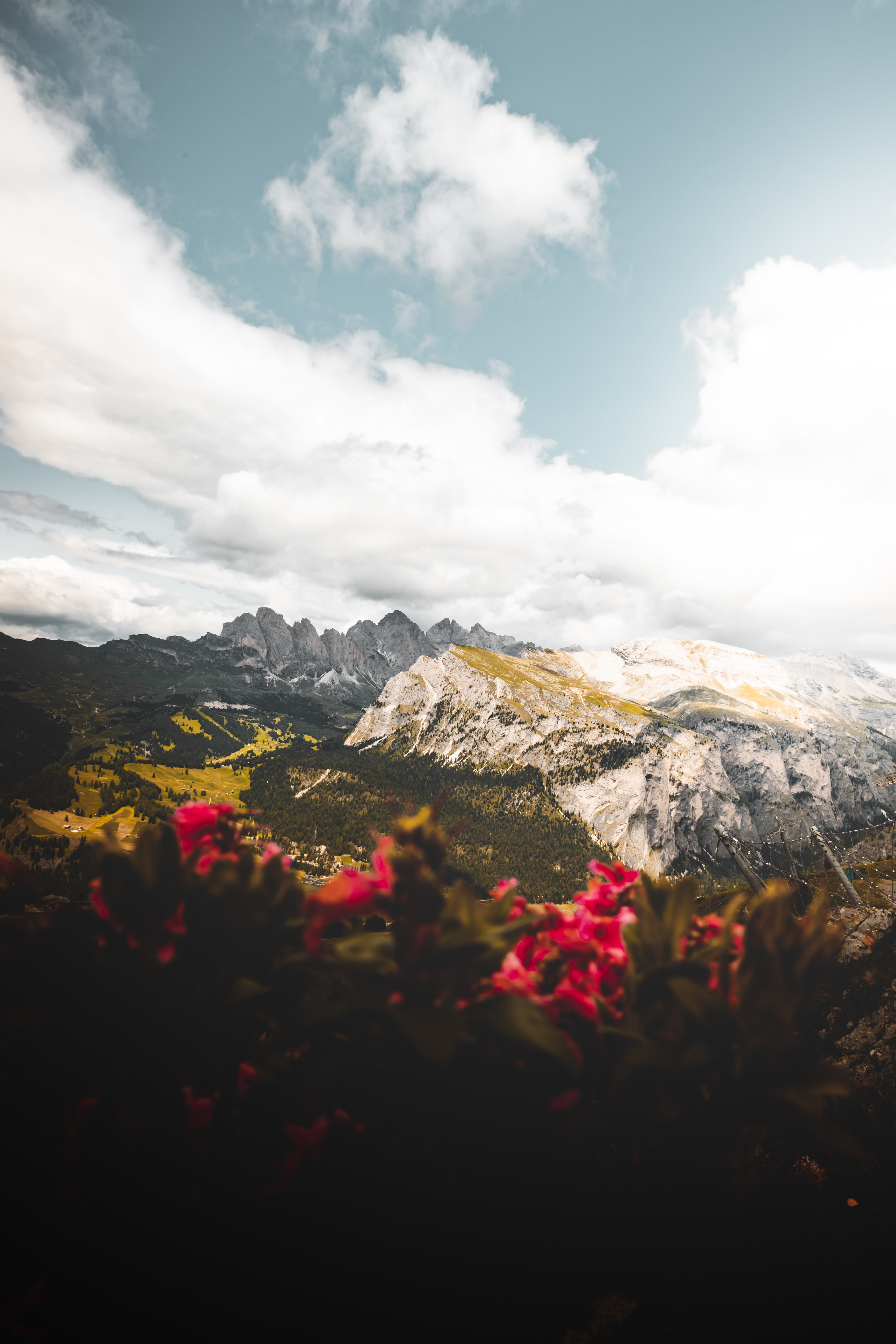 Download mobile wallpaper Vertex, Height, Tops, Clouds, Mountains, Nature, Flowers for free.