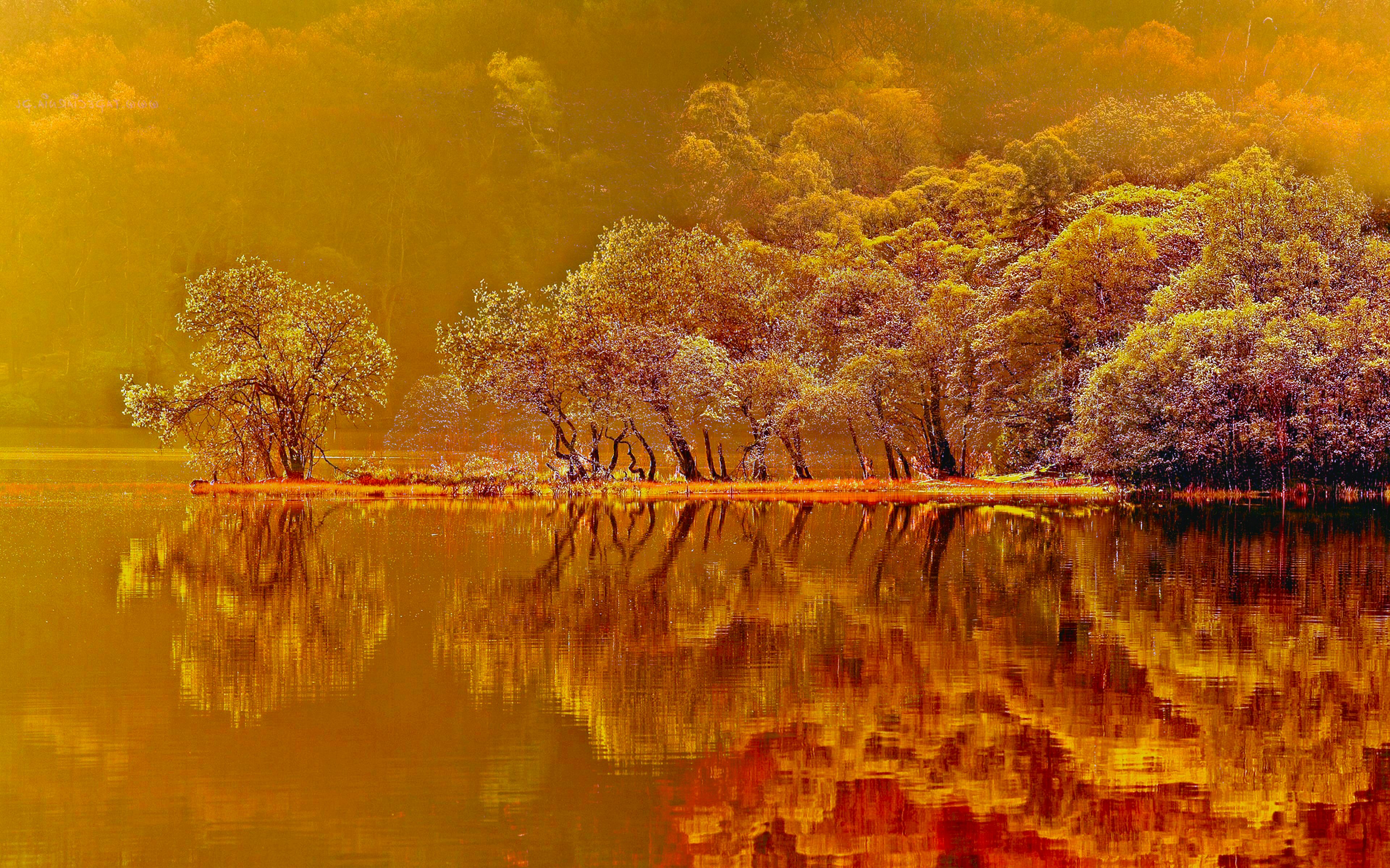 1491034 baixar papel de parede reflexão, terra/natureza, outono, floresta, lago, cor laranja) - protetores de tela e imagens gratuitamente
