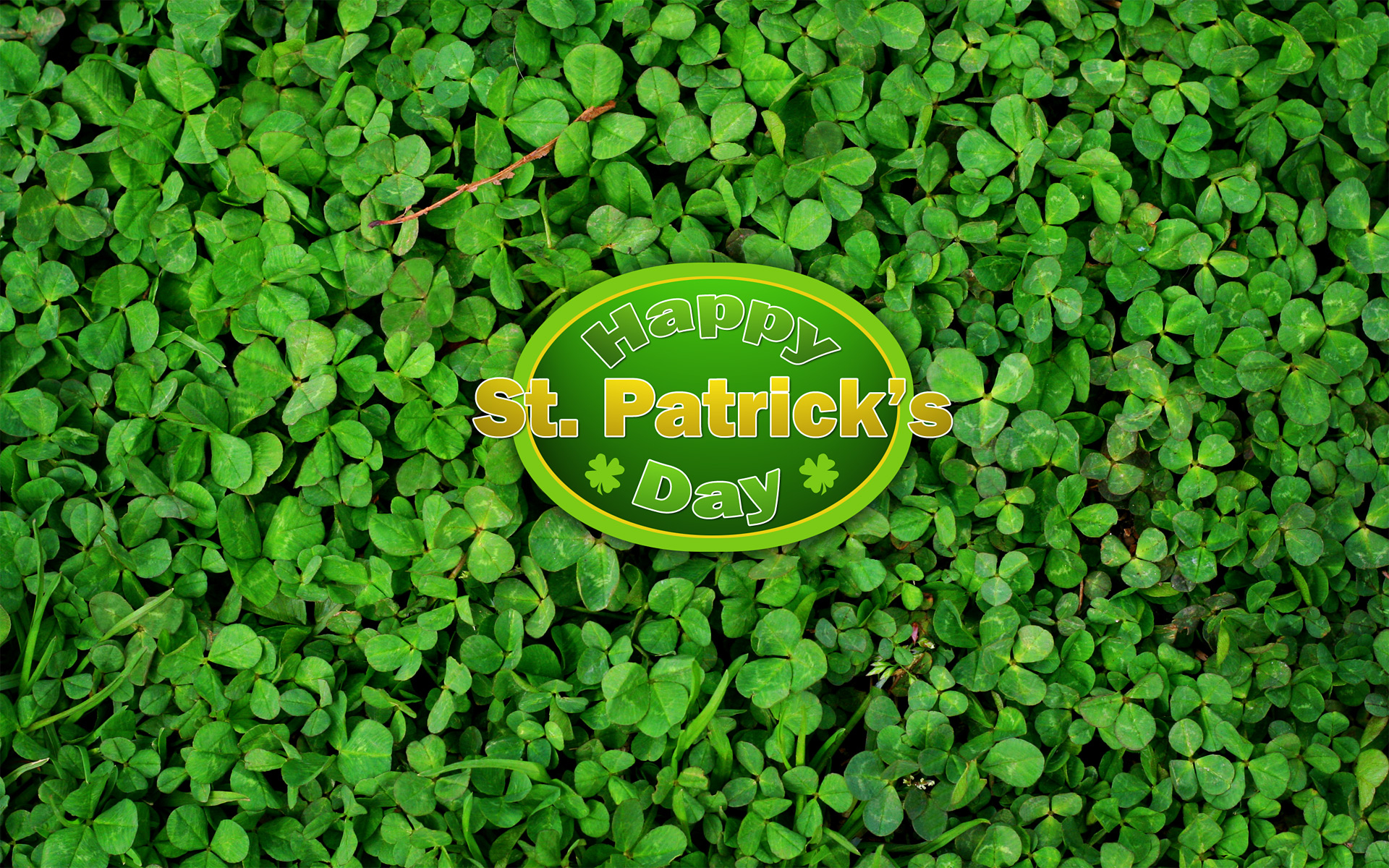 st patrick's day, holiday, clover, green Image for desktop