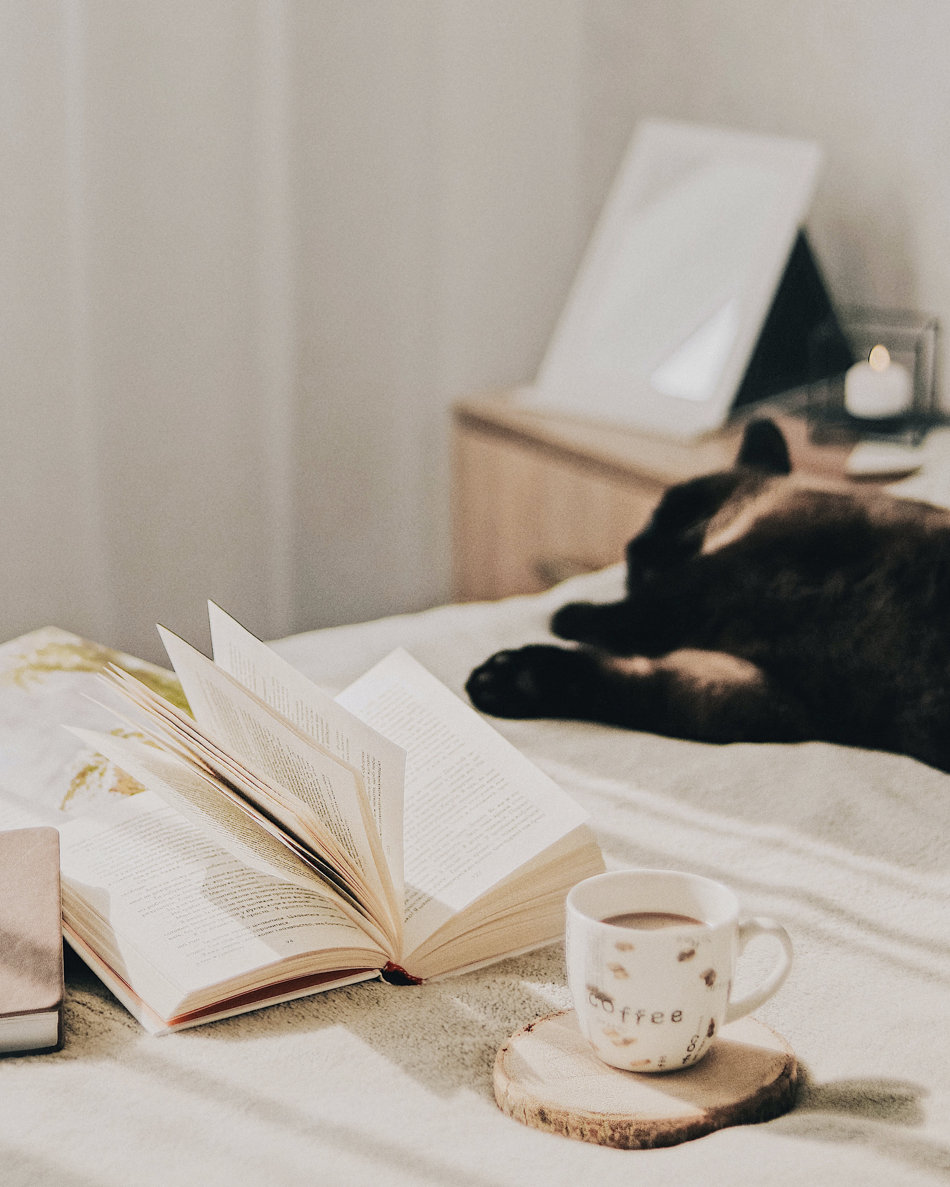 coffee, miscellanea, miscellaneous, cat, cup, book, pages, page