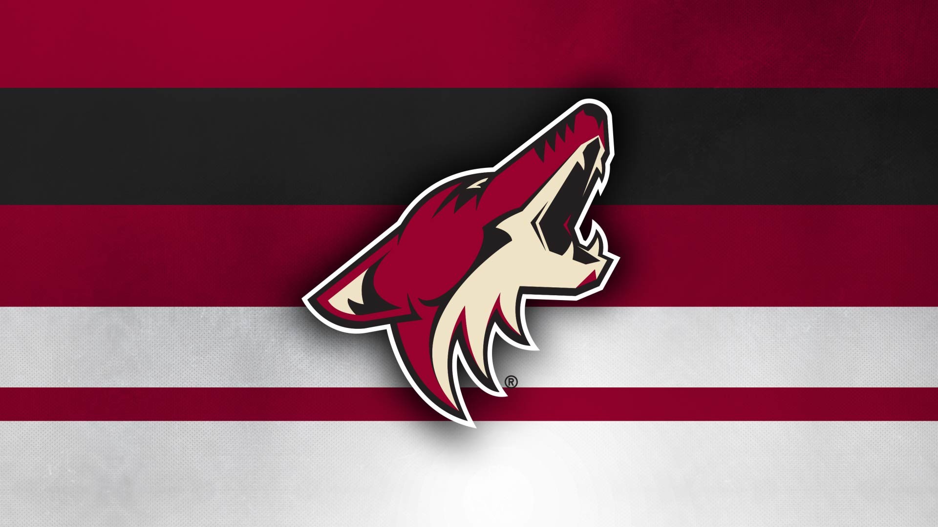 Arizona Coyotes wallpaper by Densports - Download on ZEDGE™
