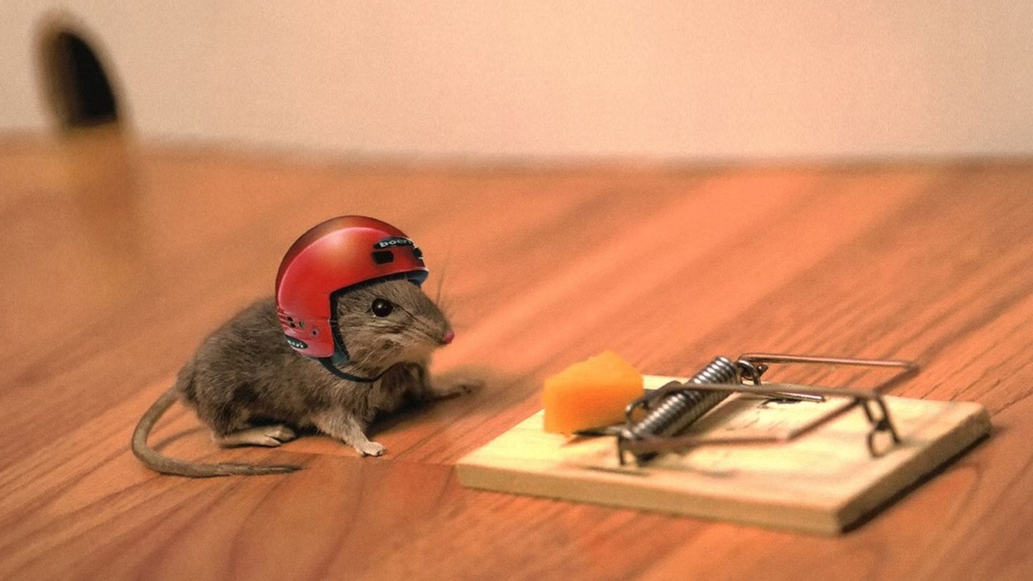 Мир мышей. Мышь в мышеловке. Мышь в каске. Крыса в шлеме. Мышь на столе.
