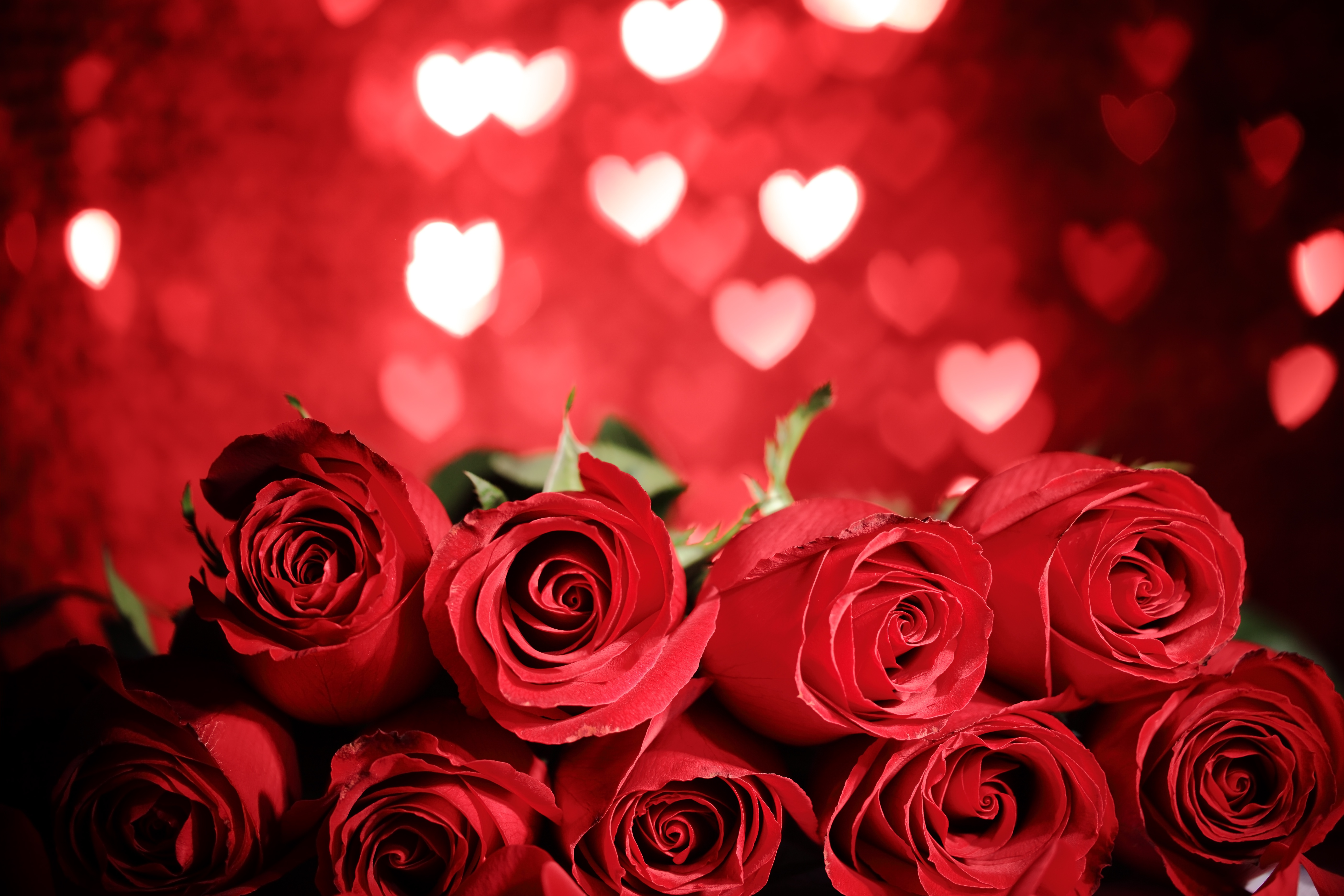 Розы на день влюбленных