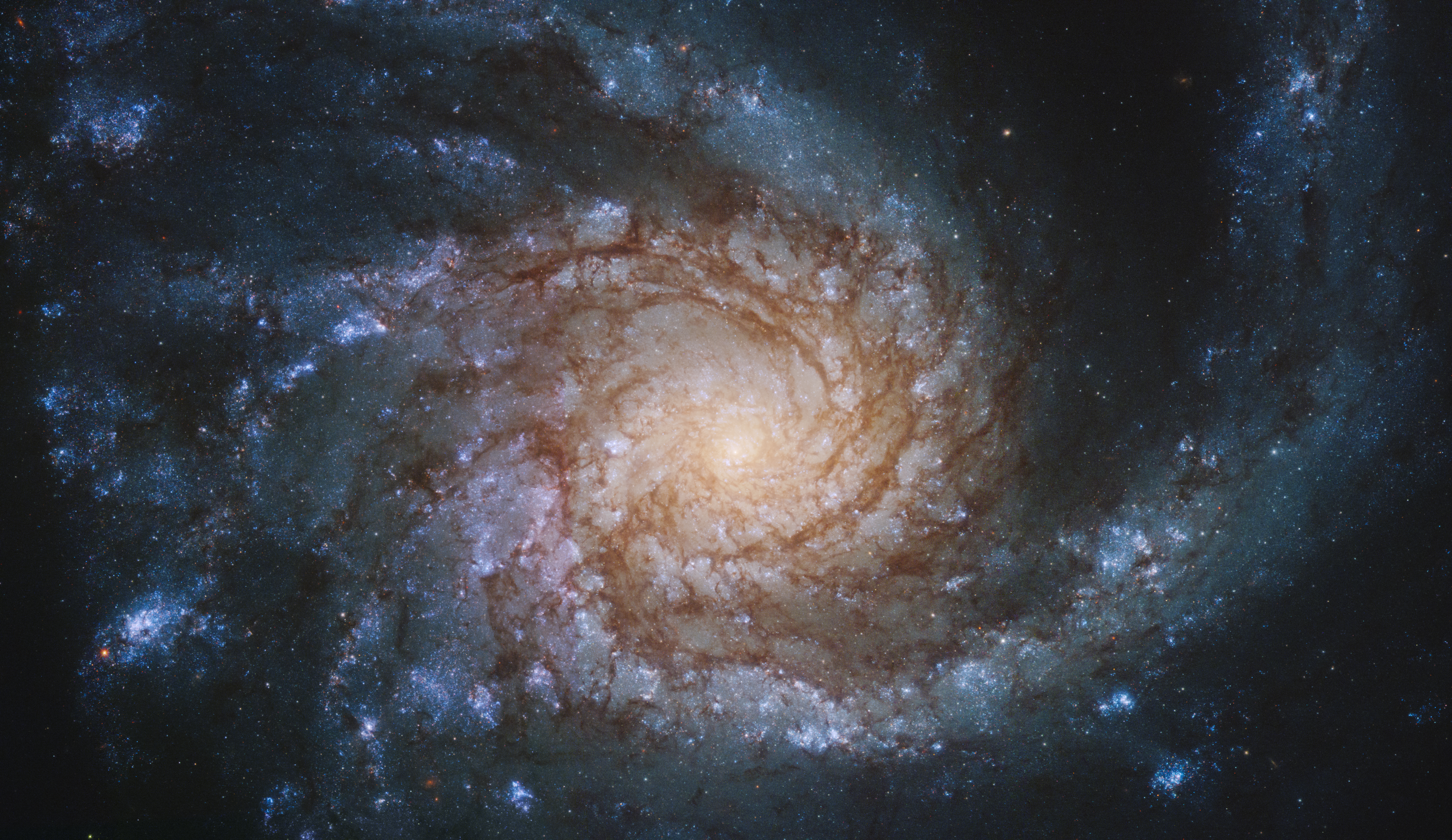 Laden Sie das Galaxis, Spiral, Spirale, Ngc 4254, Galaxy, Universum, Sterne-Bild kostenlos auf Ihren PC-Desktop herunter