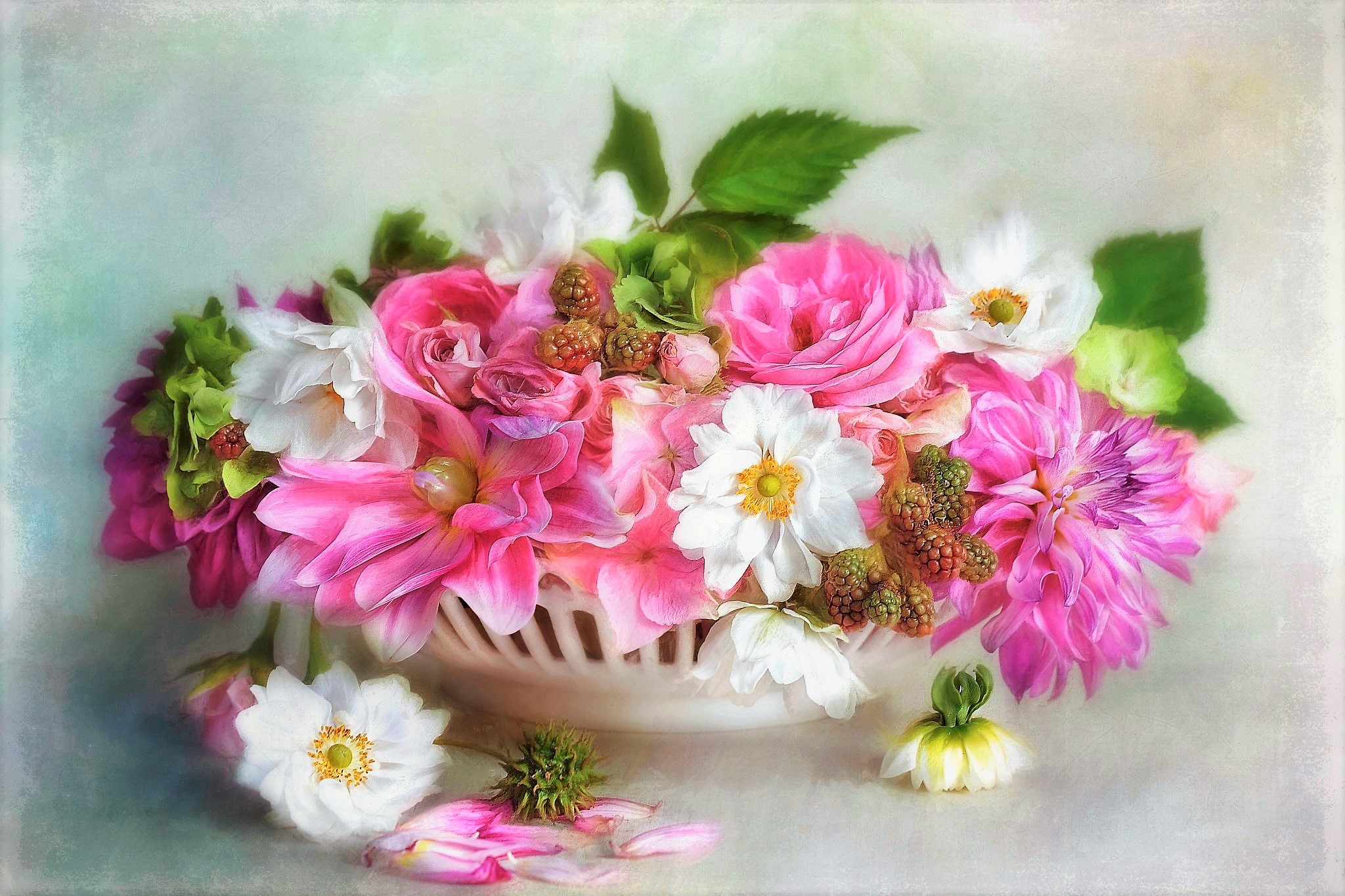 white flower, artistic, painting, bowl, flower, pink flower, still life