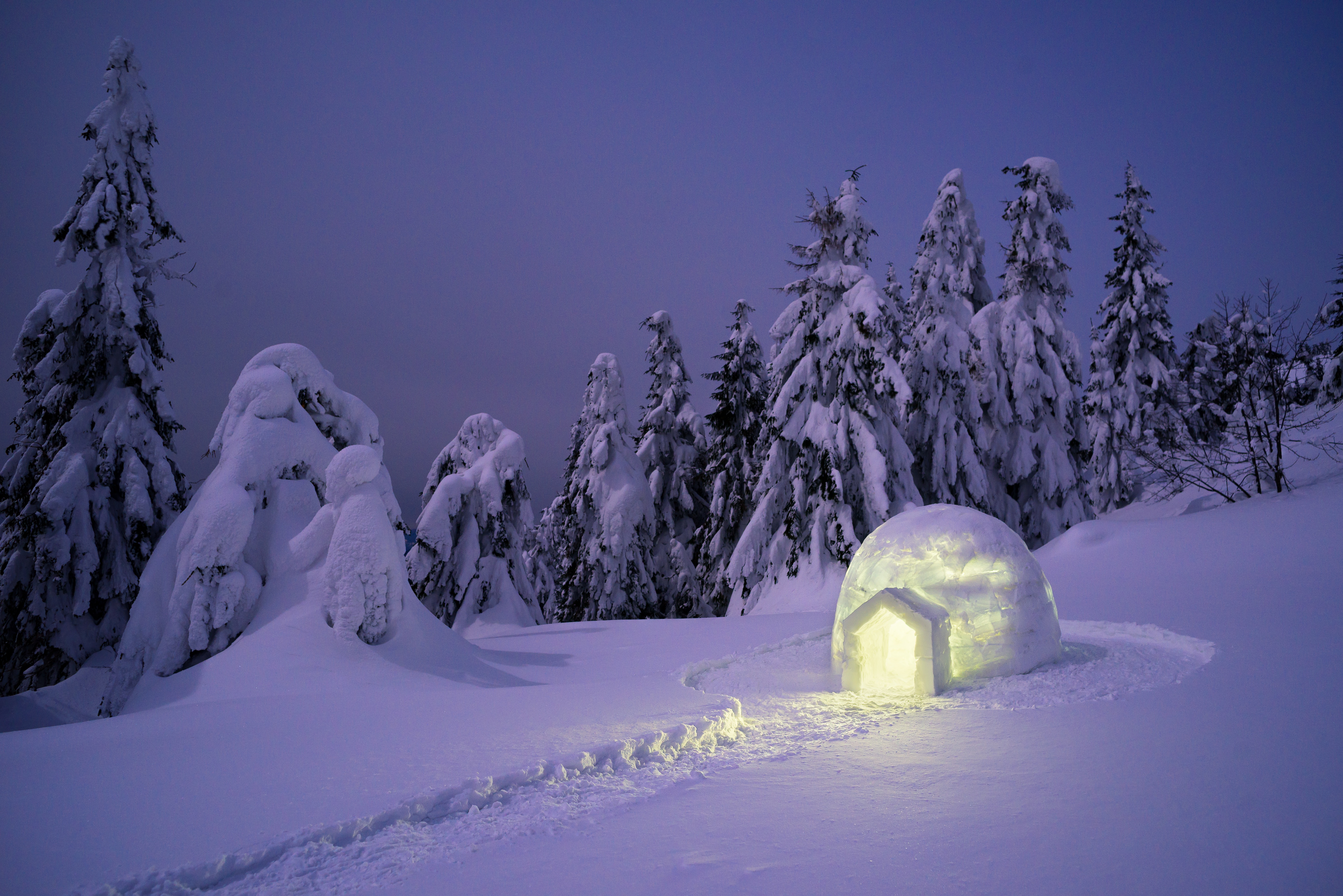 photography, winter, igloo, snow Smartphone Background