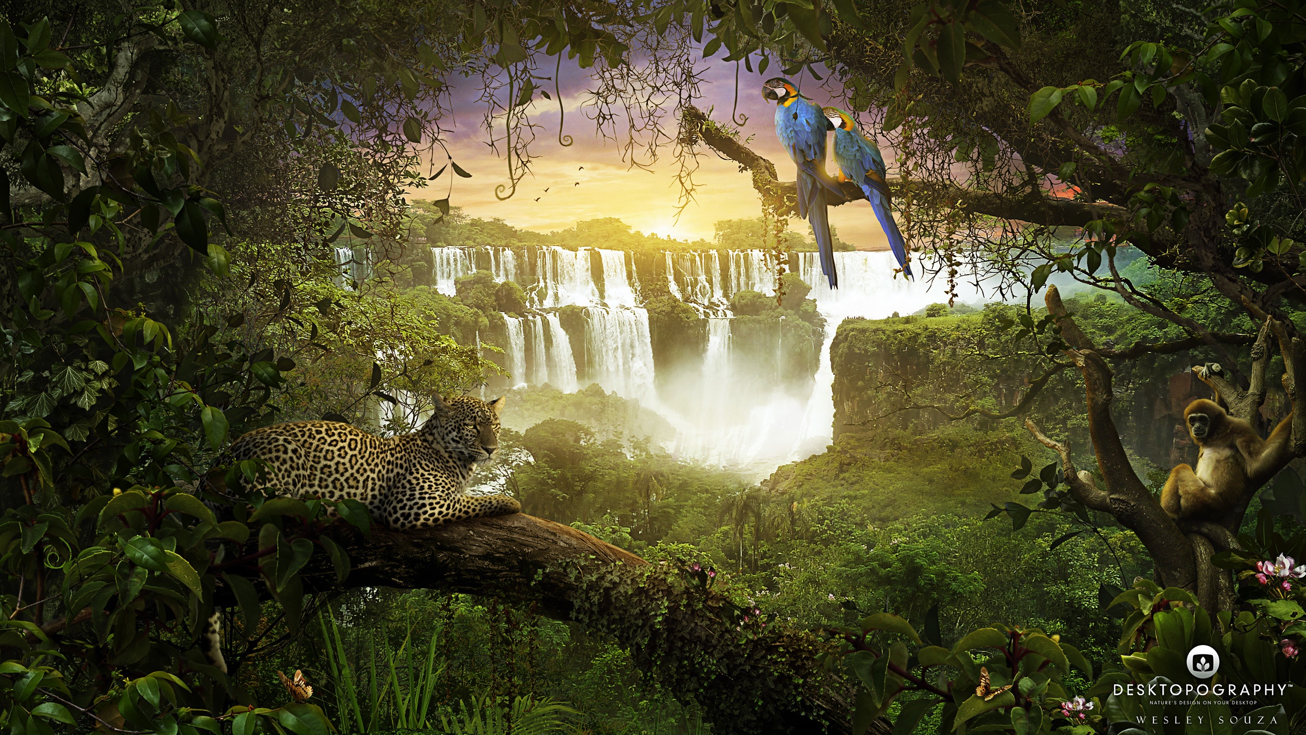 jungle, parrot, desktopography, artistic, waterfall wallpaper for mobile
