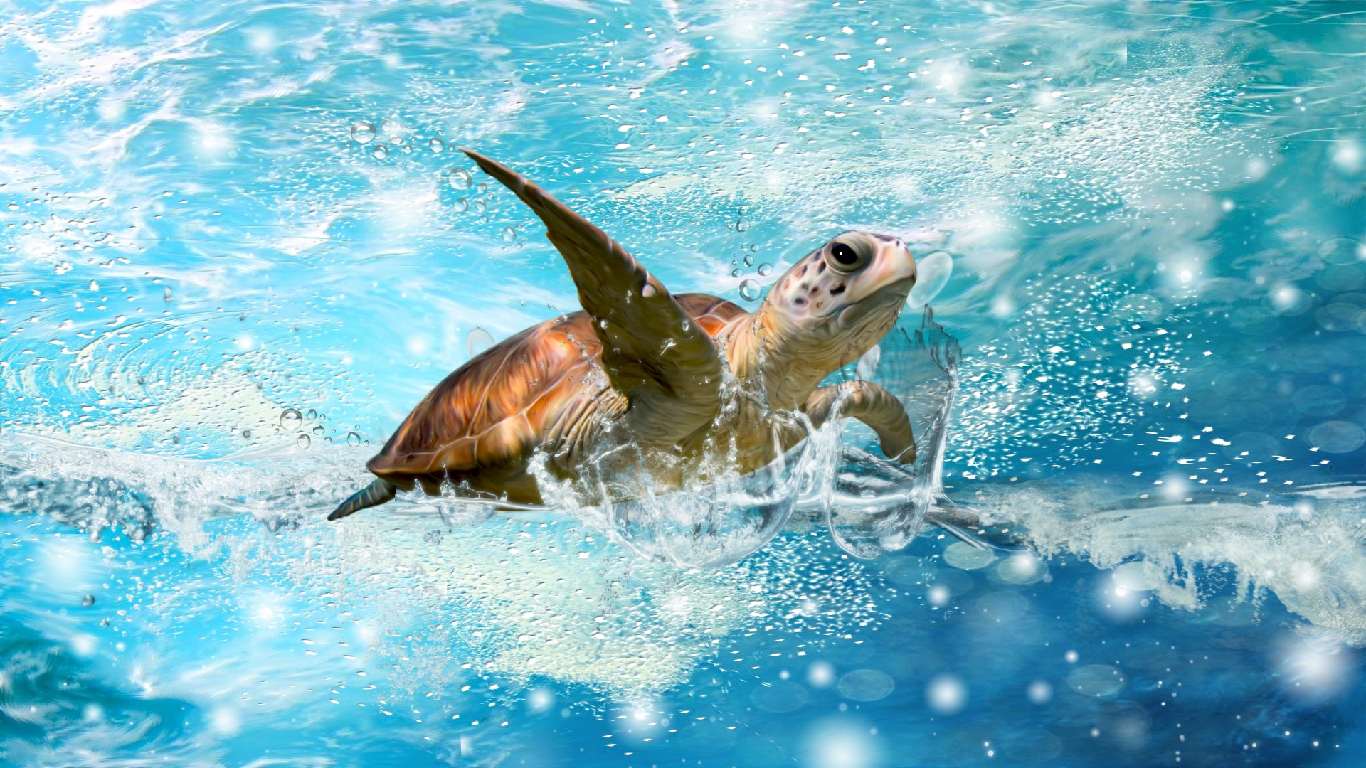 Download mobile wallpaper Sea Turtle, Turtles, Animal for free.