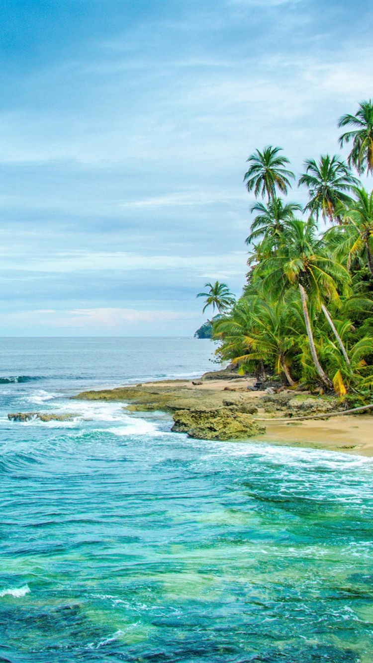 palm tree, costa rica, earth, beach, horizon, tree, tropical, sea, ocean